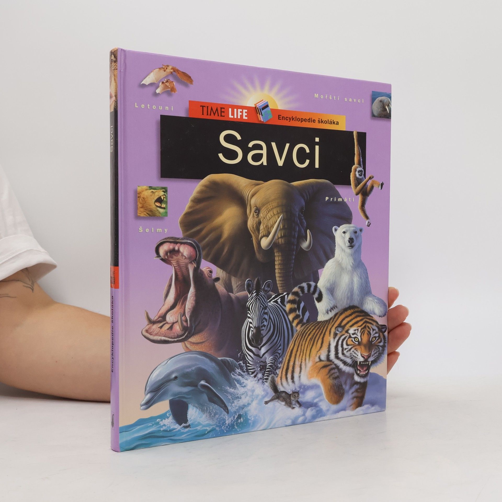 Various authors Savci