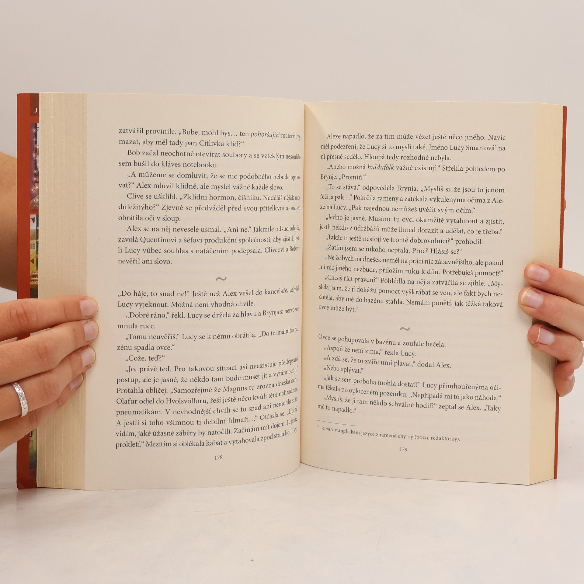 Julie Caplin Hotýlek na Islandu
