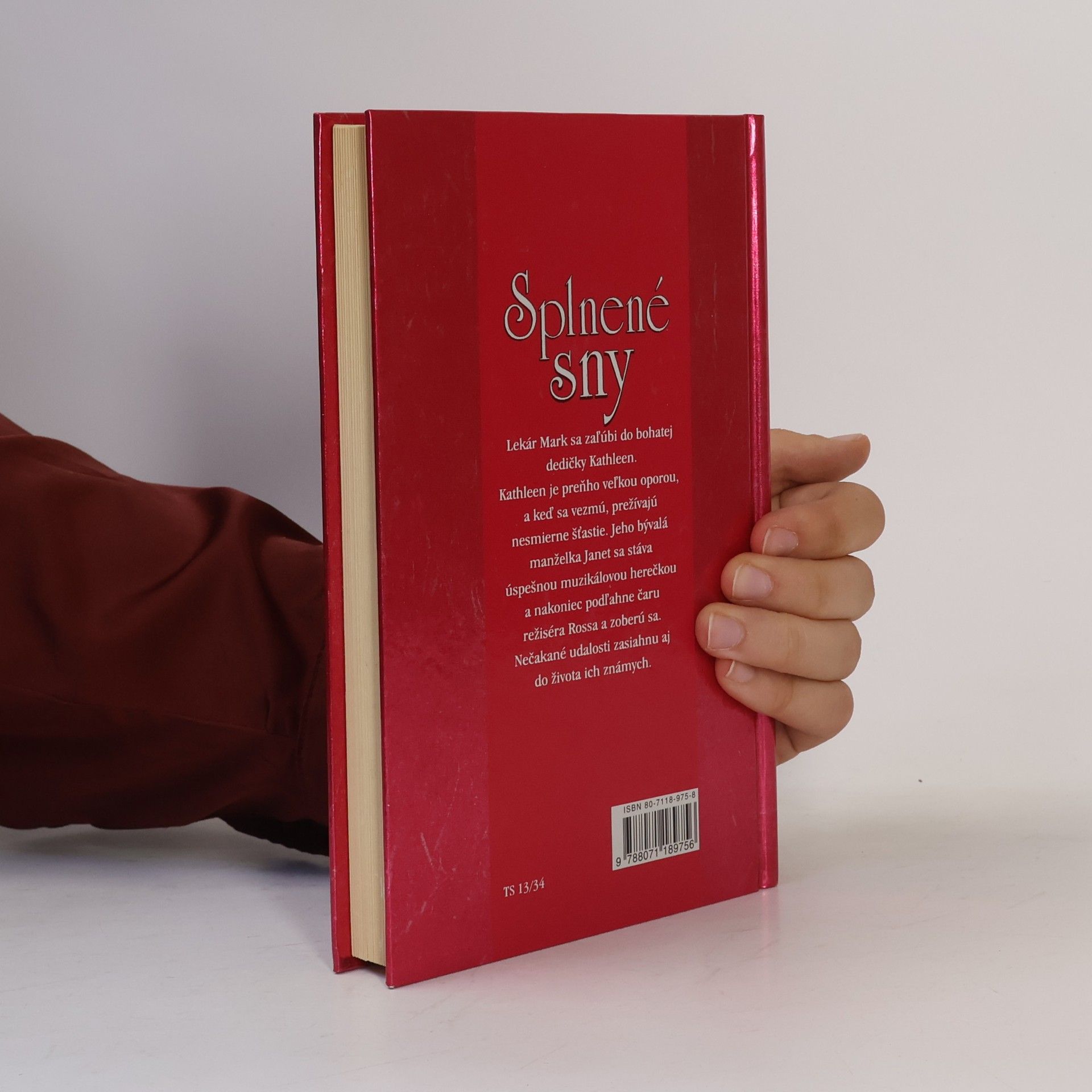 Katherine Stone Splnené sny