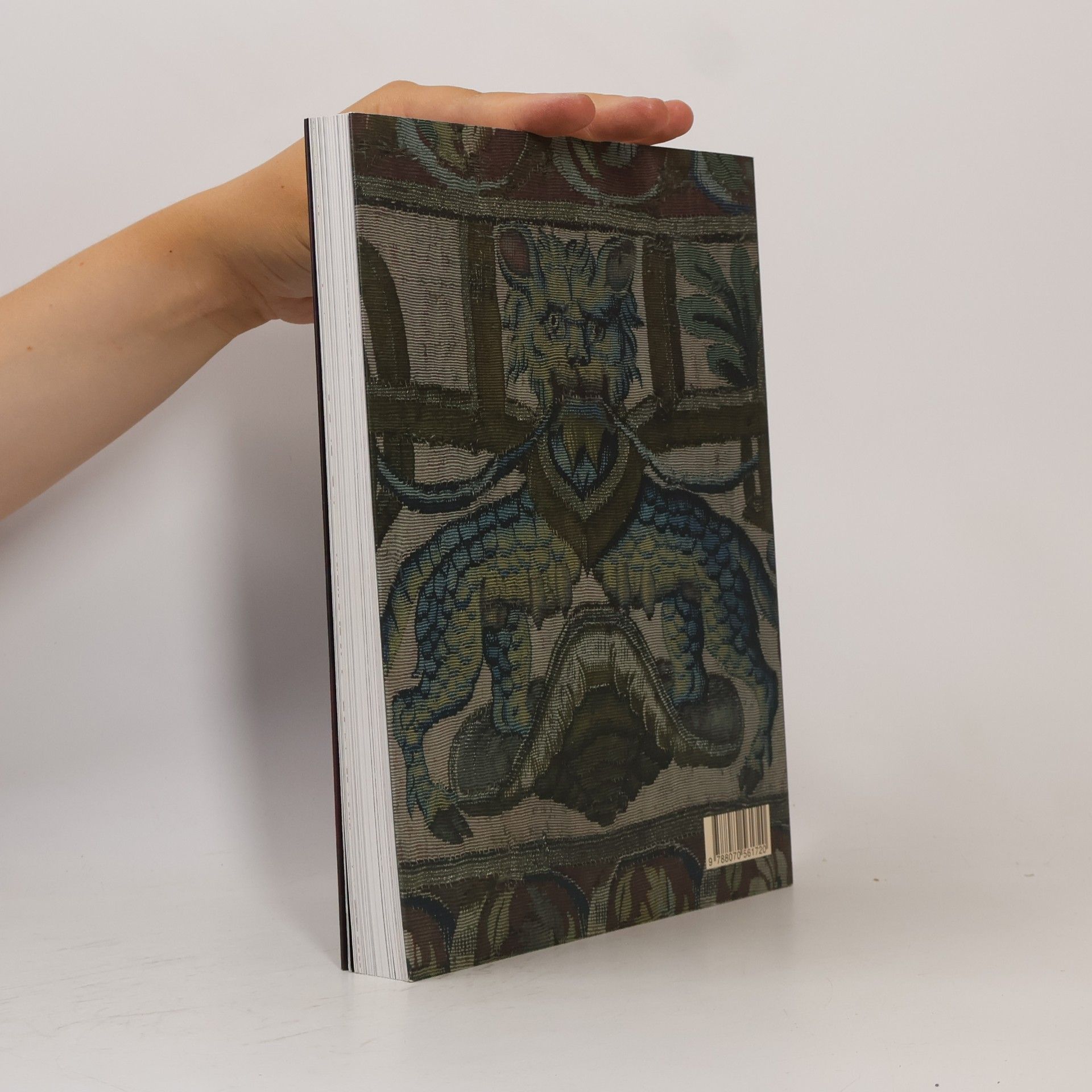 Jiří Fajt Europa Jagellonica 1386-1572 : umění a kultura ve střední Evropě za vlády Jagellonců