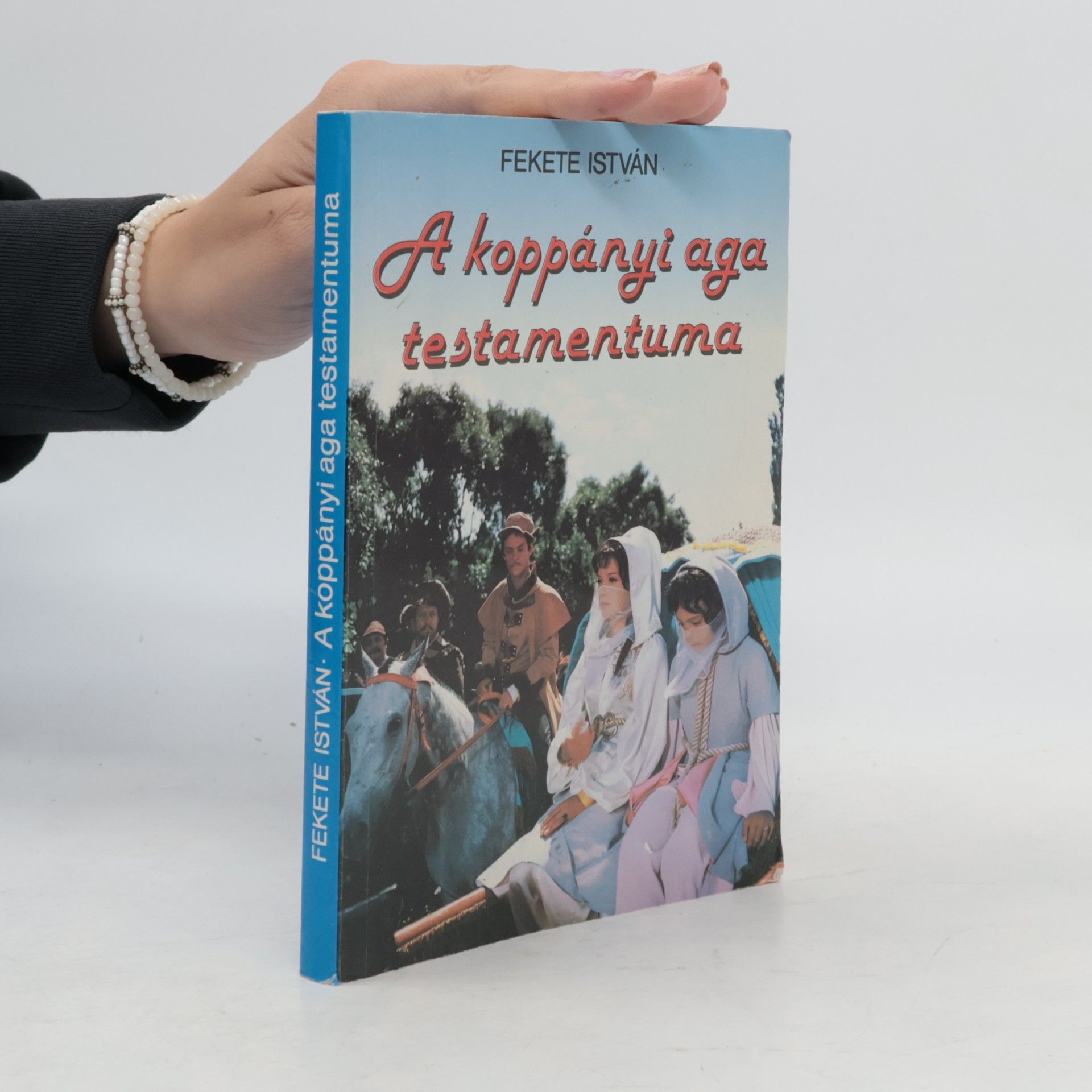 István Fekete A koppányi aga testamentuma