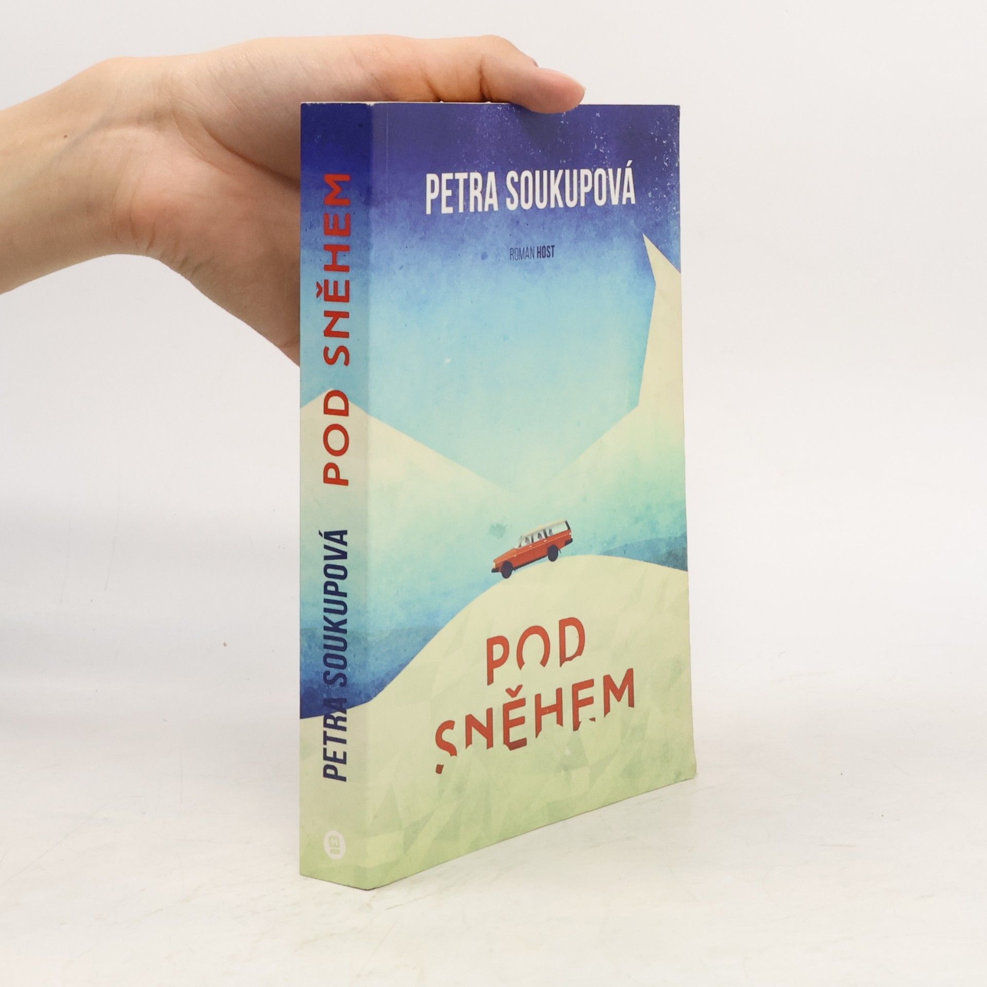 Petra Soukupová Pod sněhem