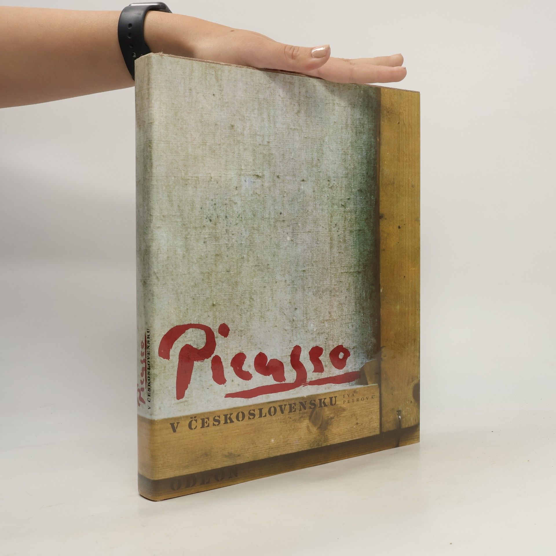 Eva Petrová Picasso v Československu