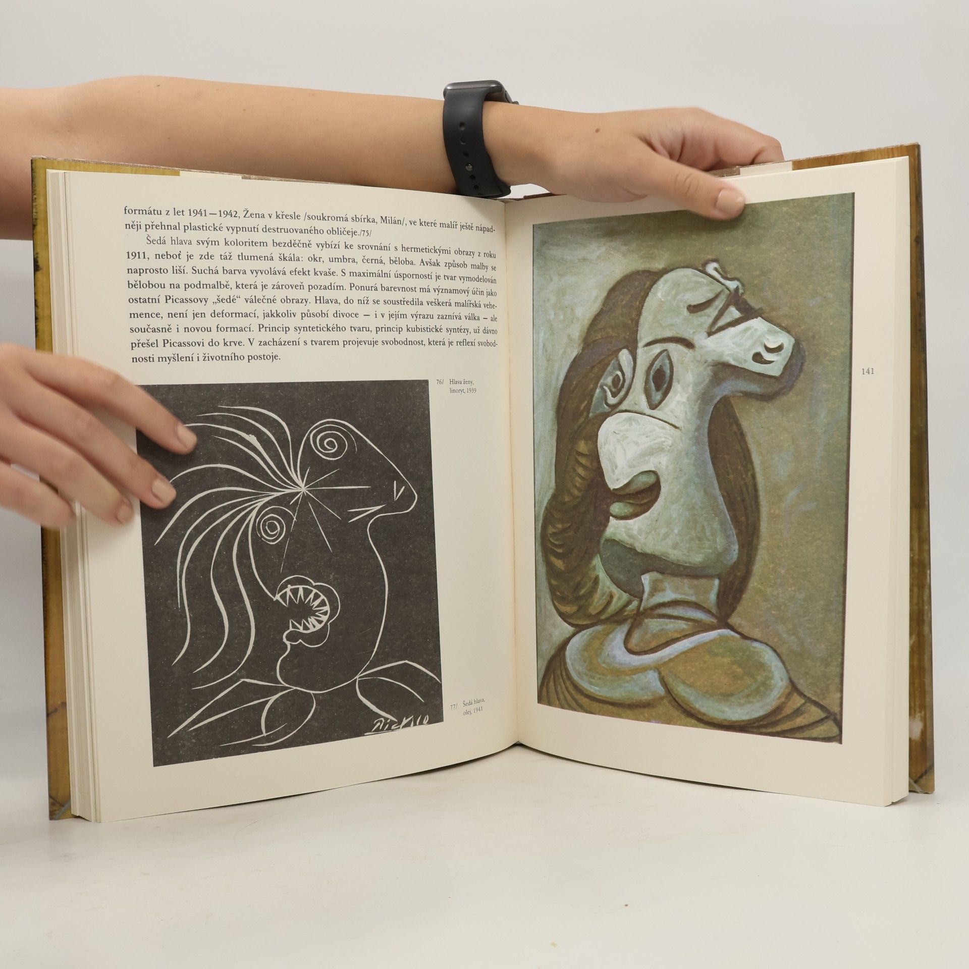 Eva Petrová Picasso v Československu