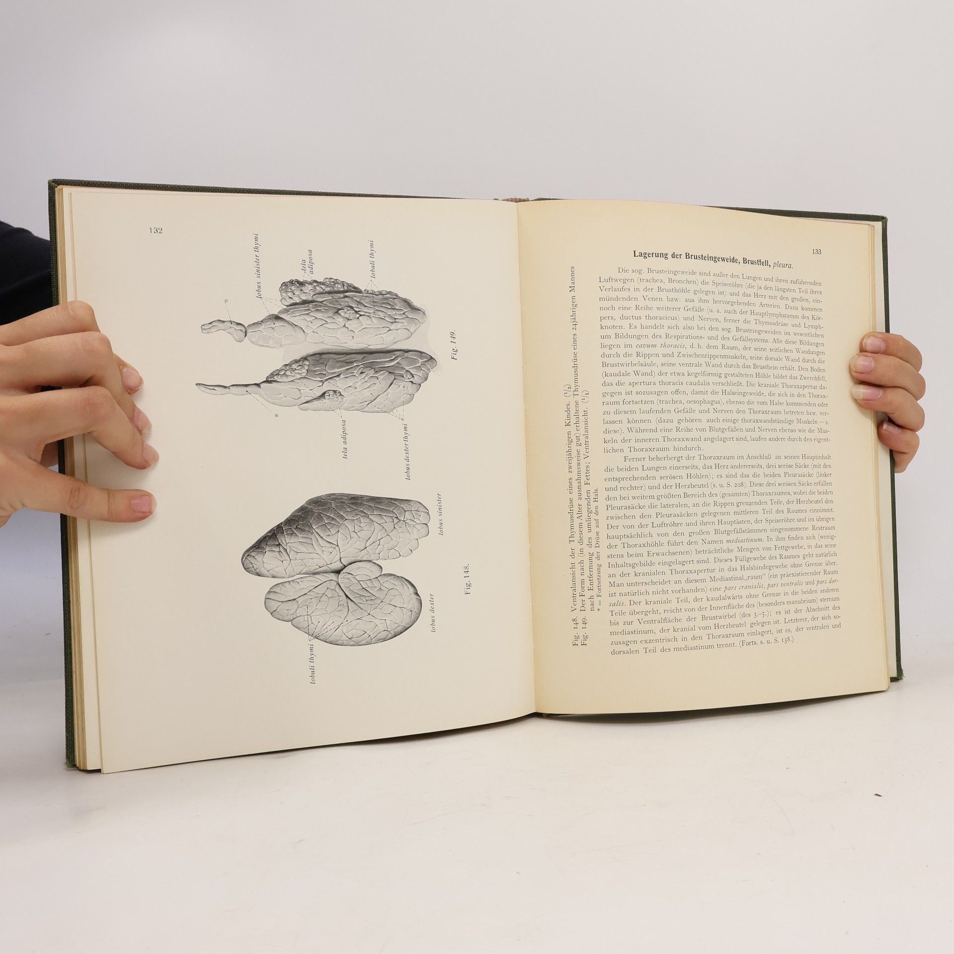 Johannes Sobotta Derscriptive Anatomie 2