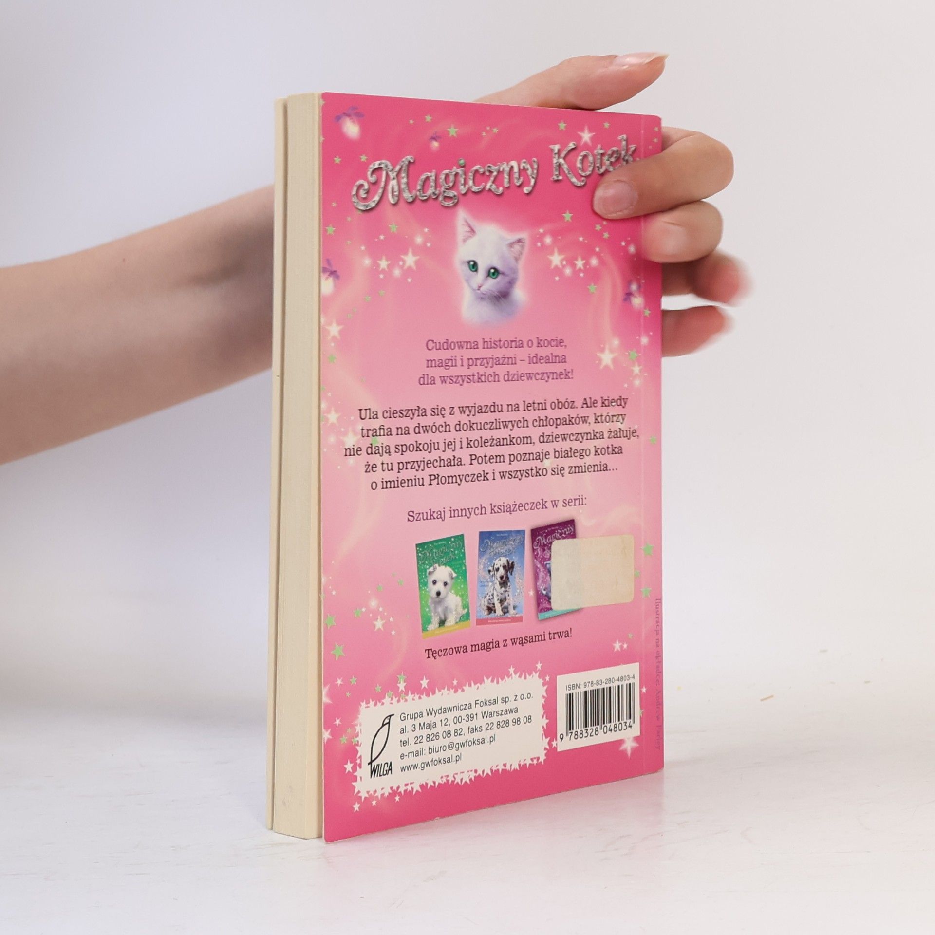 Sue Bentley LETNIA PRZYGODA MAGICZNY KOTEK