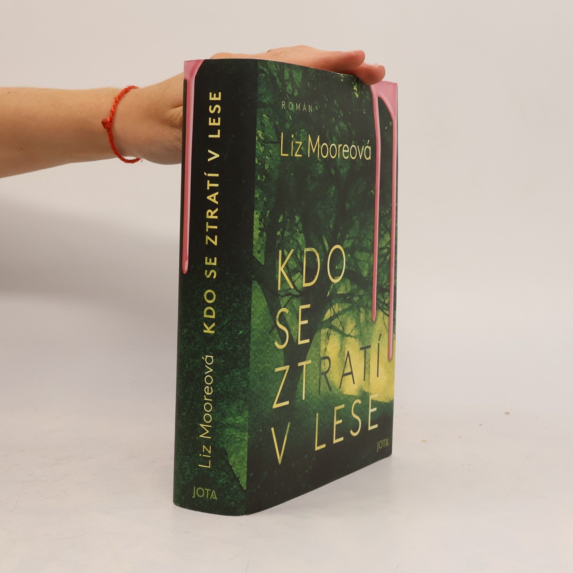 Liz Moore Kdo se ztratí v lese