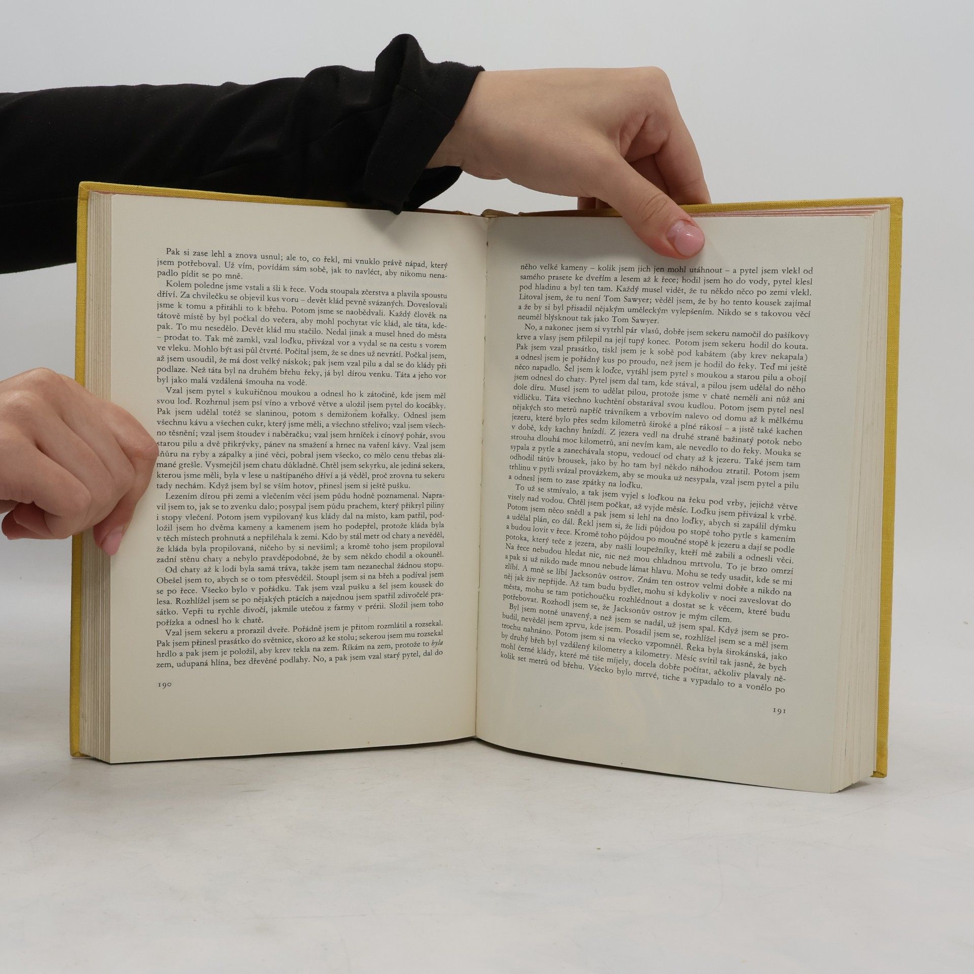 Mark Twain Dobrodružství Toma Sawyera. Dobrodružství Huckleberryho Finna