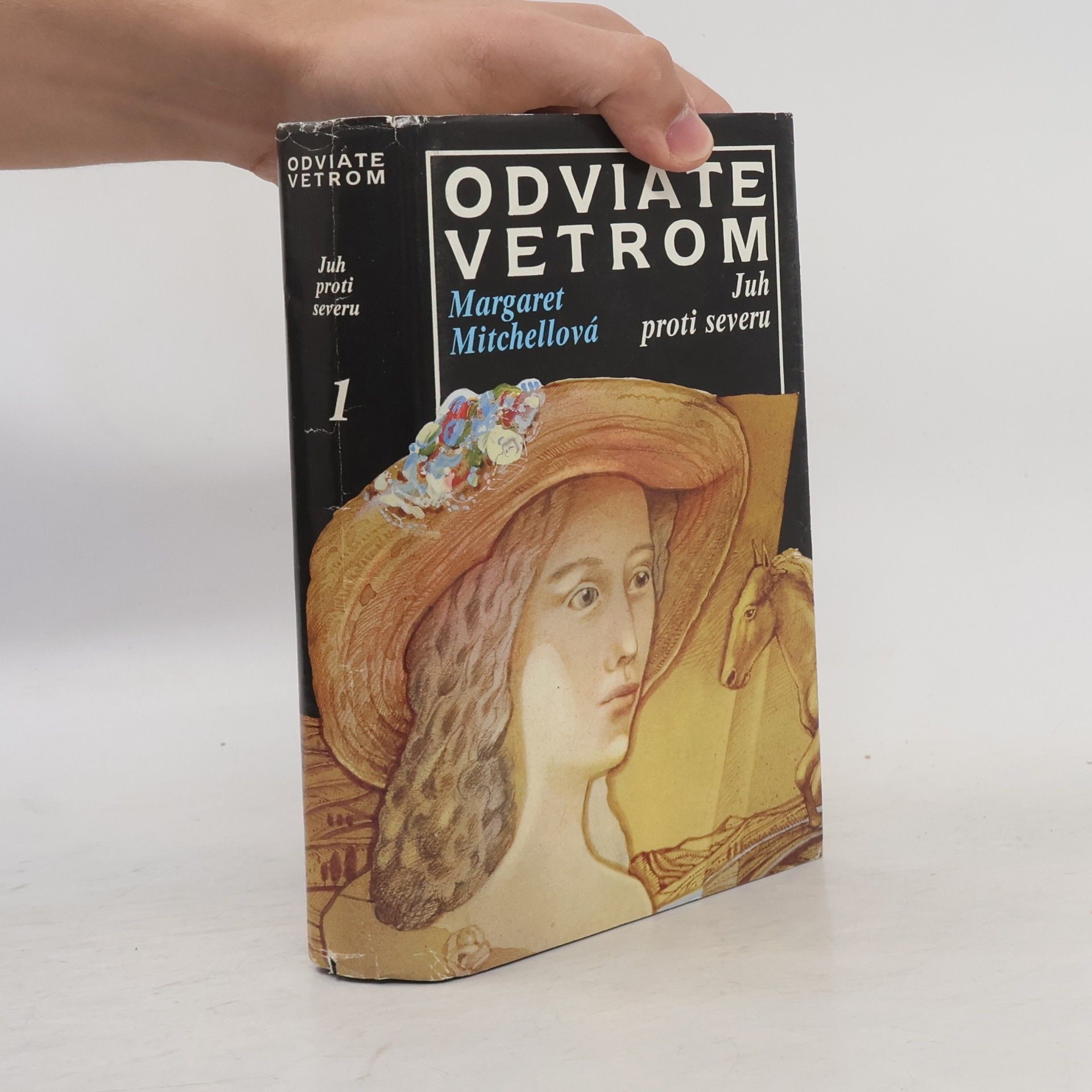 Margaret Mitchell Odviate vetrom 1. Juh proti severu