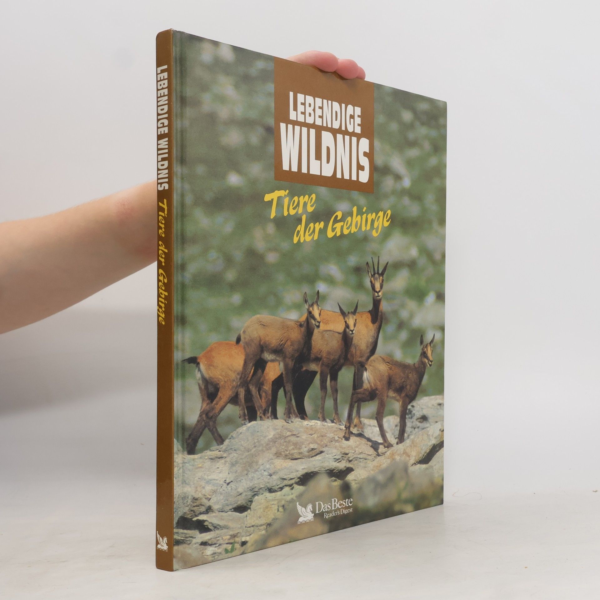 Autorenkollektiv Lebendige Wildnis : Tiere der Gebirge