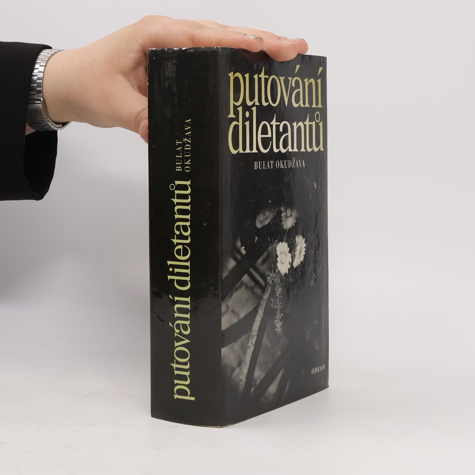 Putování diletantů