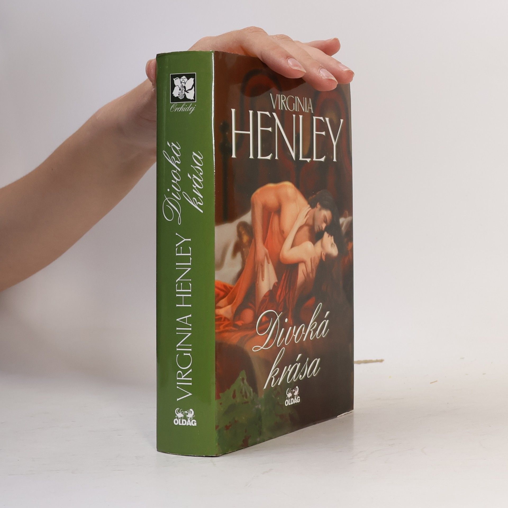 Virginia Henley Divoká krása