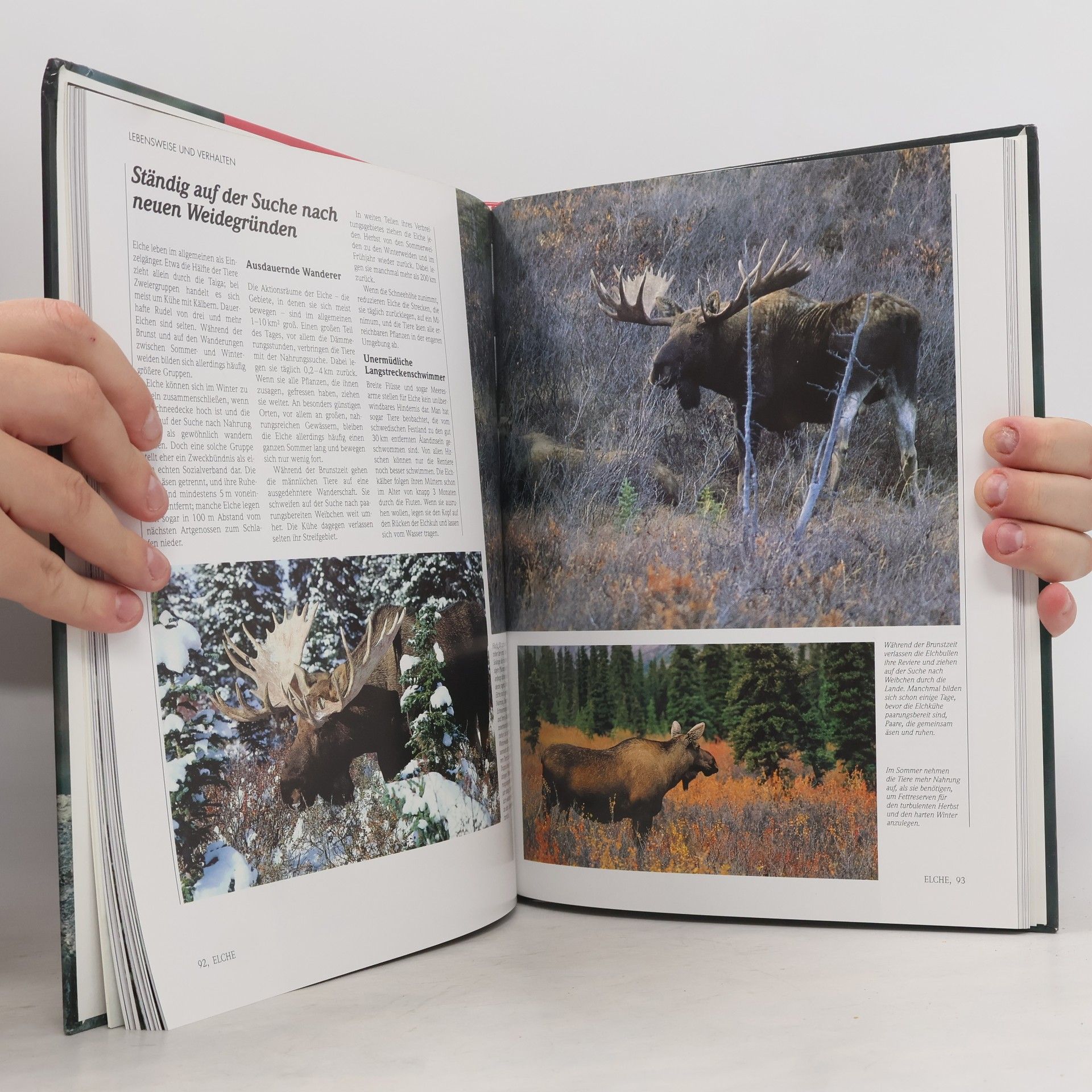 Autorenkollektiv Lebendige Wildnis : Tiere der Taiga