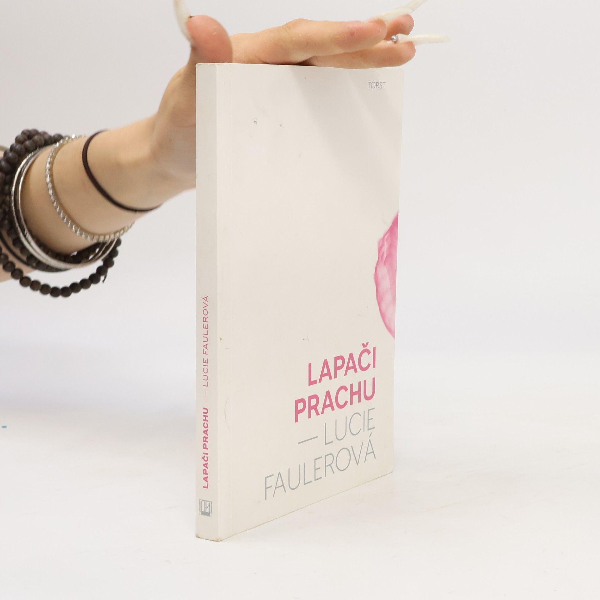Lucie Faulerová Lapači prachu