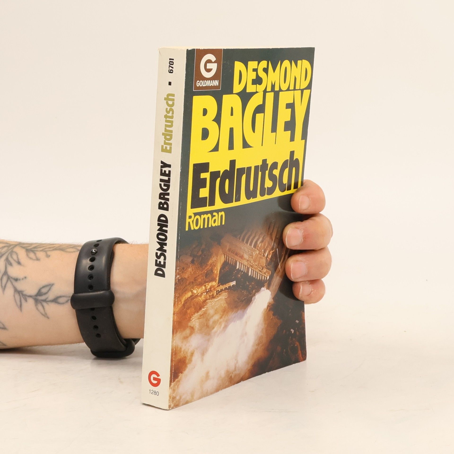 Desmond Bagley Erdrutsch