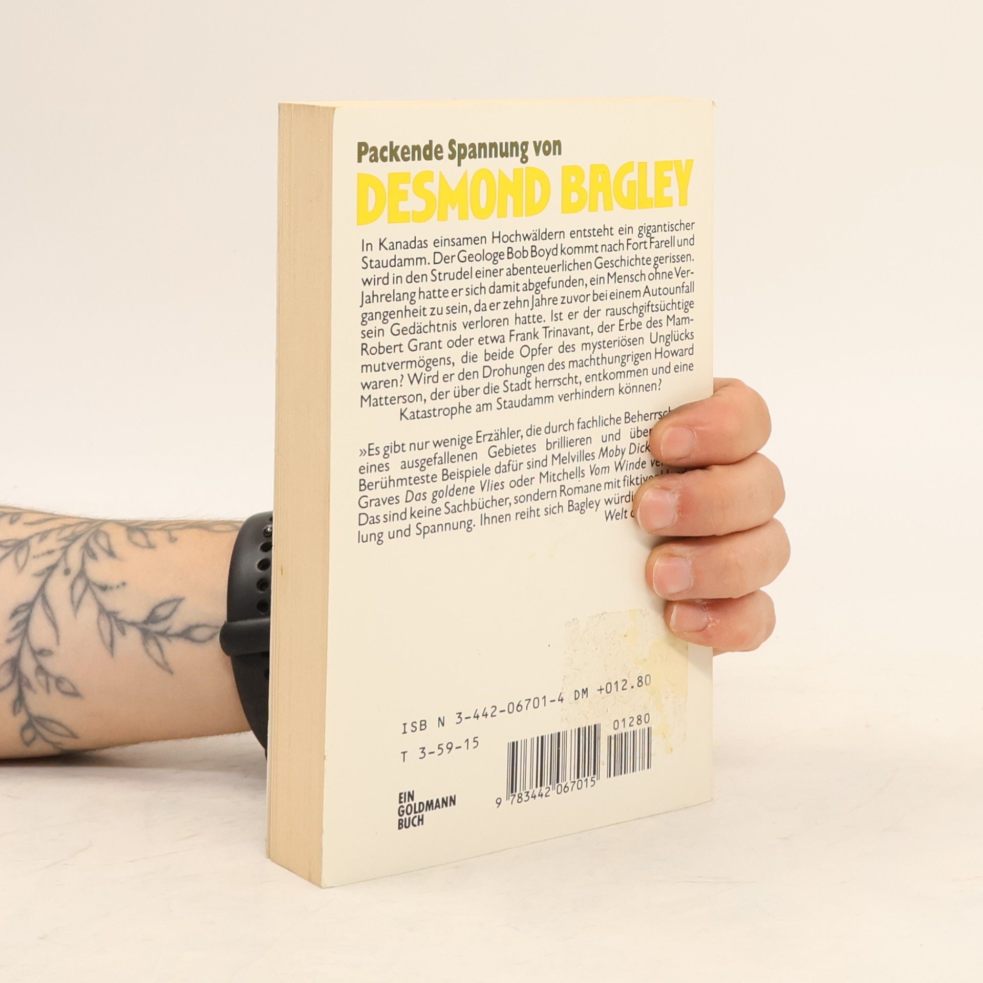 Desmond Bagley Erdrutsch