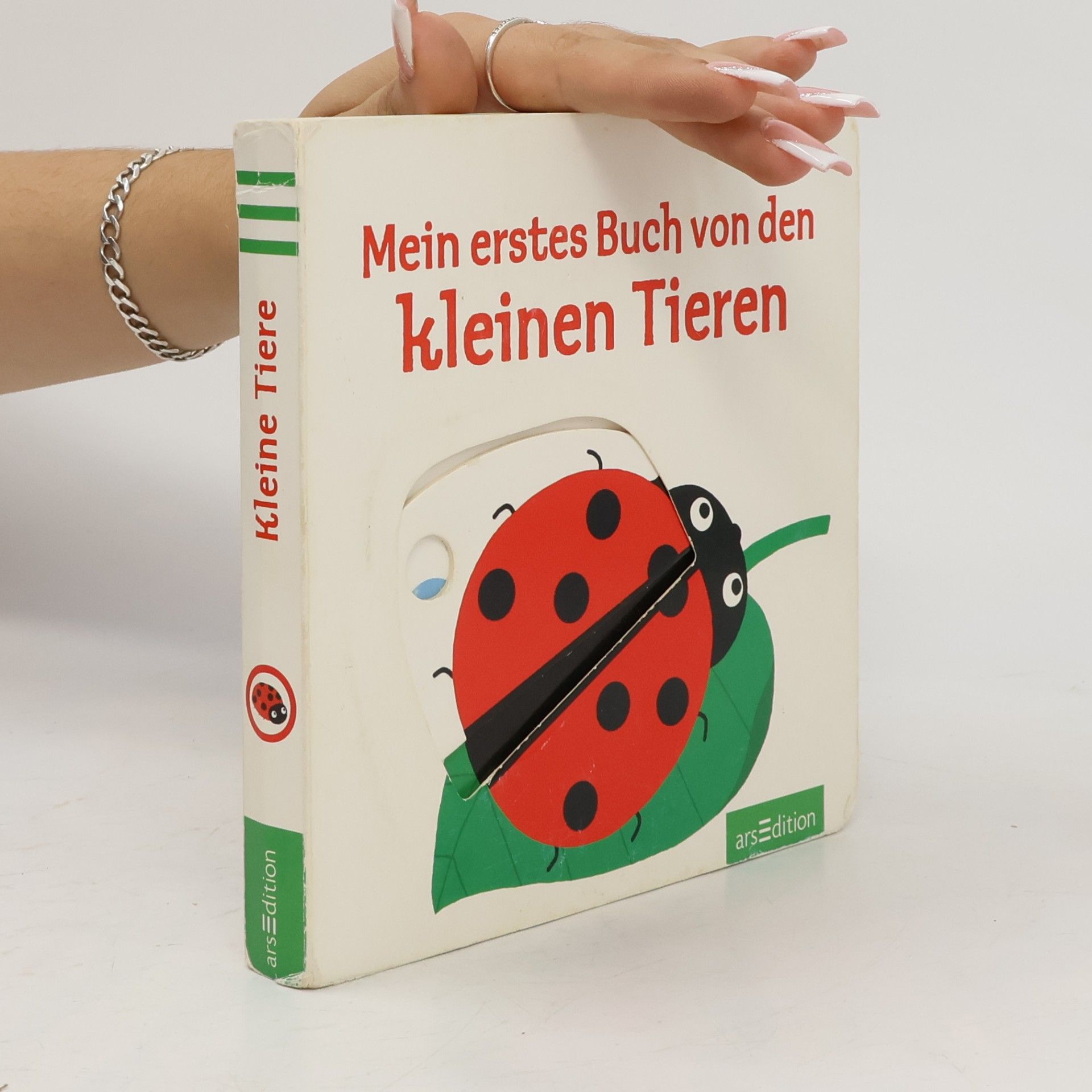 Autorenkollektiv Mein erstes Buch von den kleinen Tieren