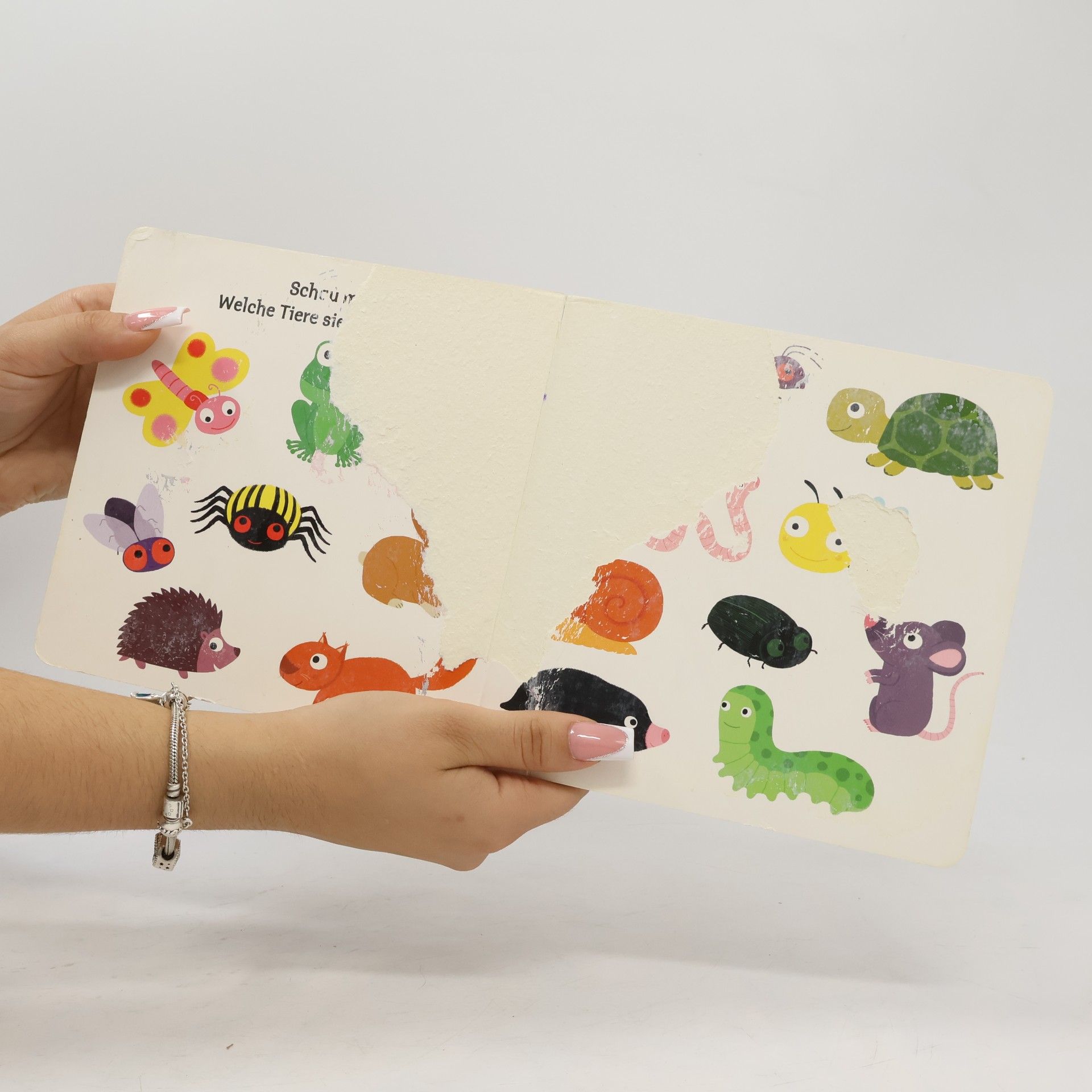 Autorenkollektiv Mein erstes Buch von den kleinen Tieren