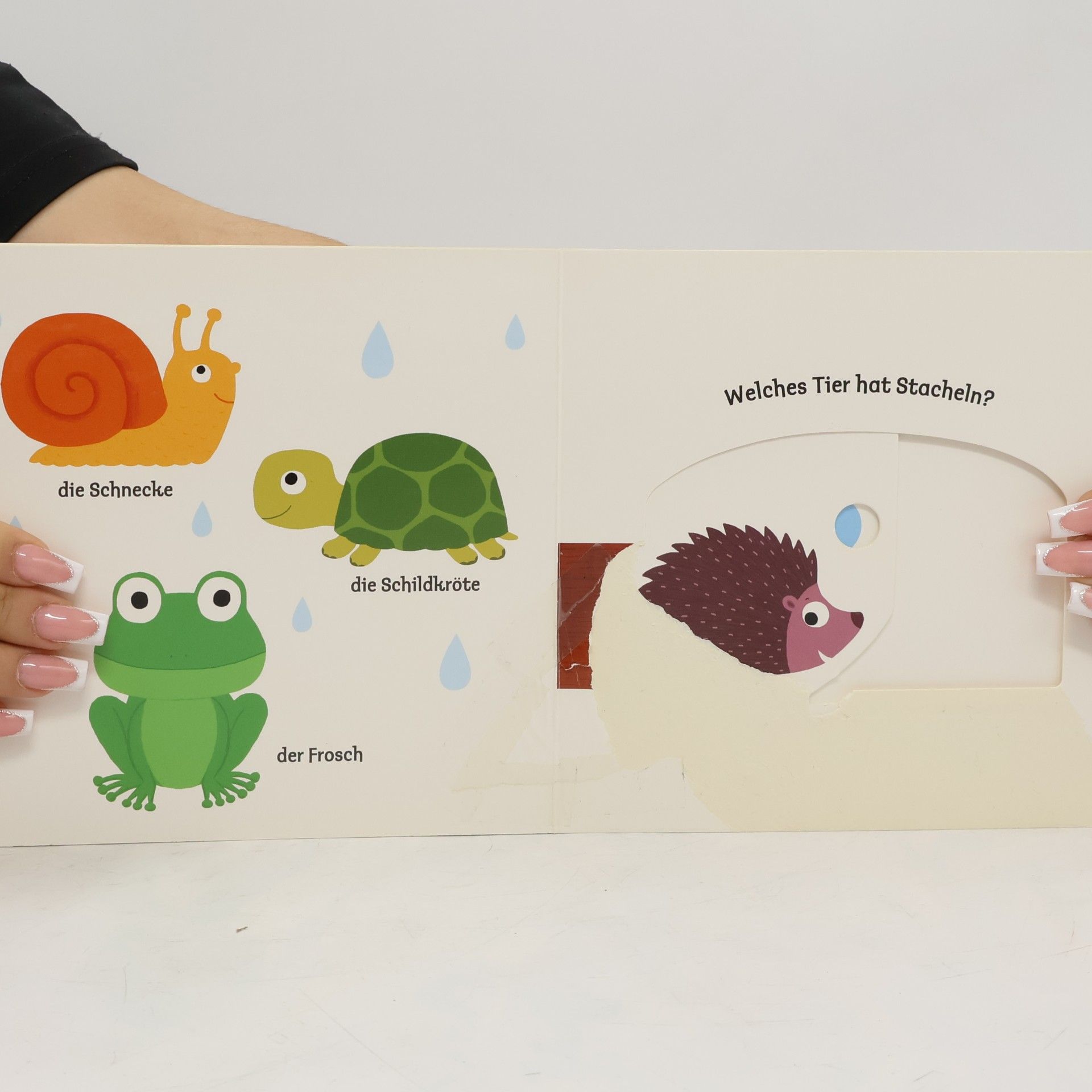 Autorenkollektiv Mein erstes Buch von den kleinen Tieren