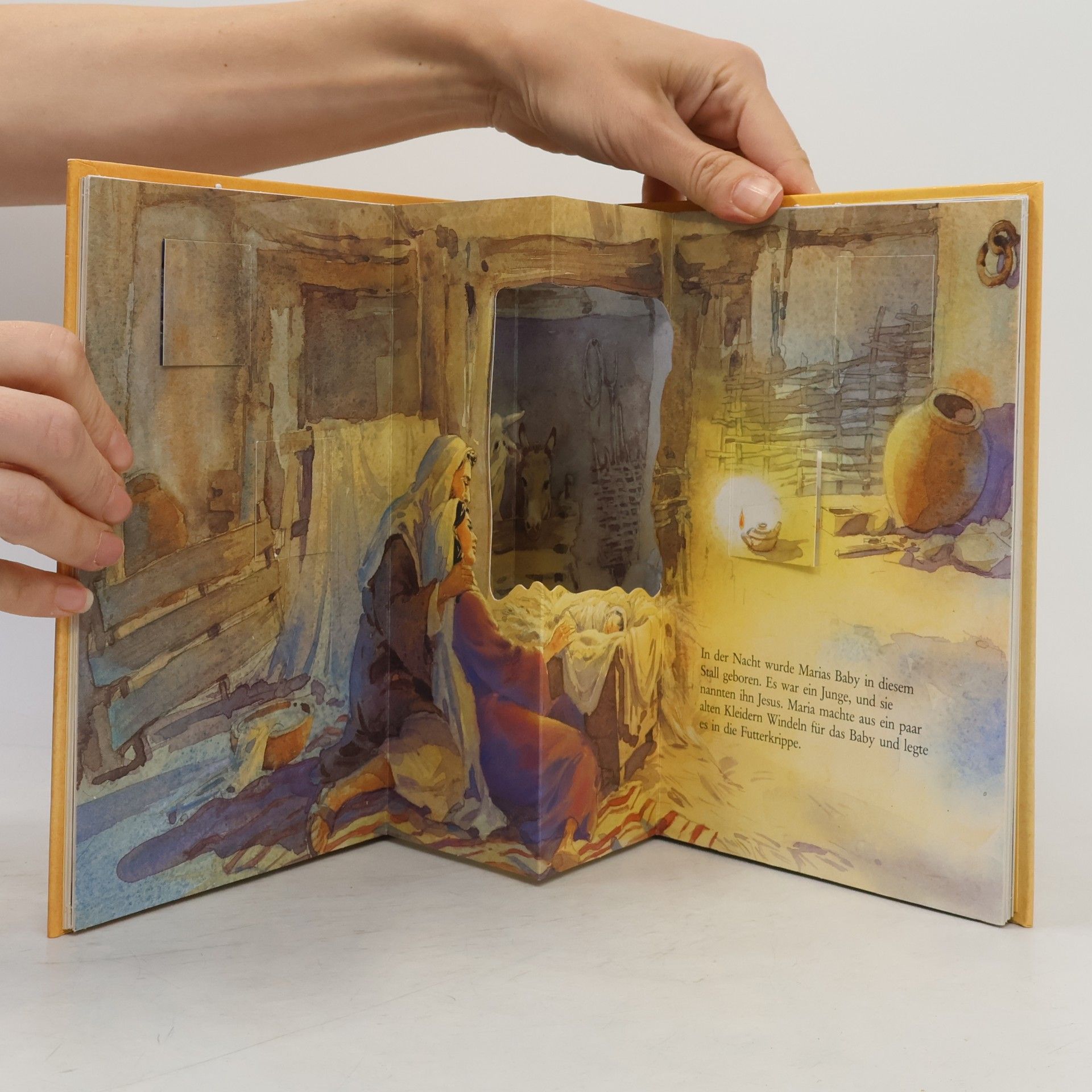 Sally Owen TELOS - Kinderbücher: Ein Kind kommt zur Welt
