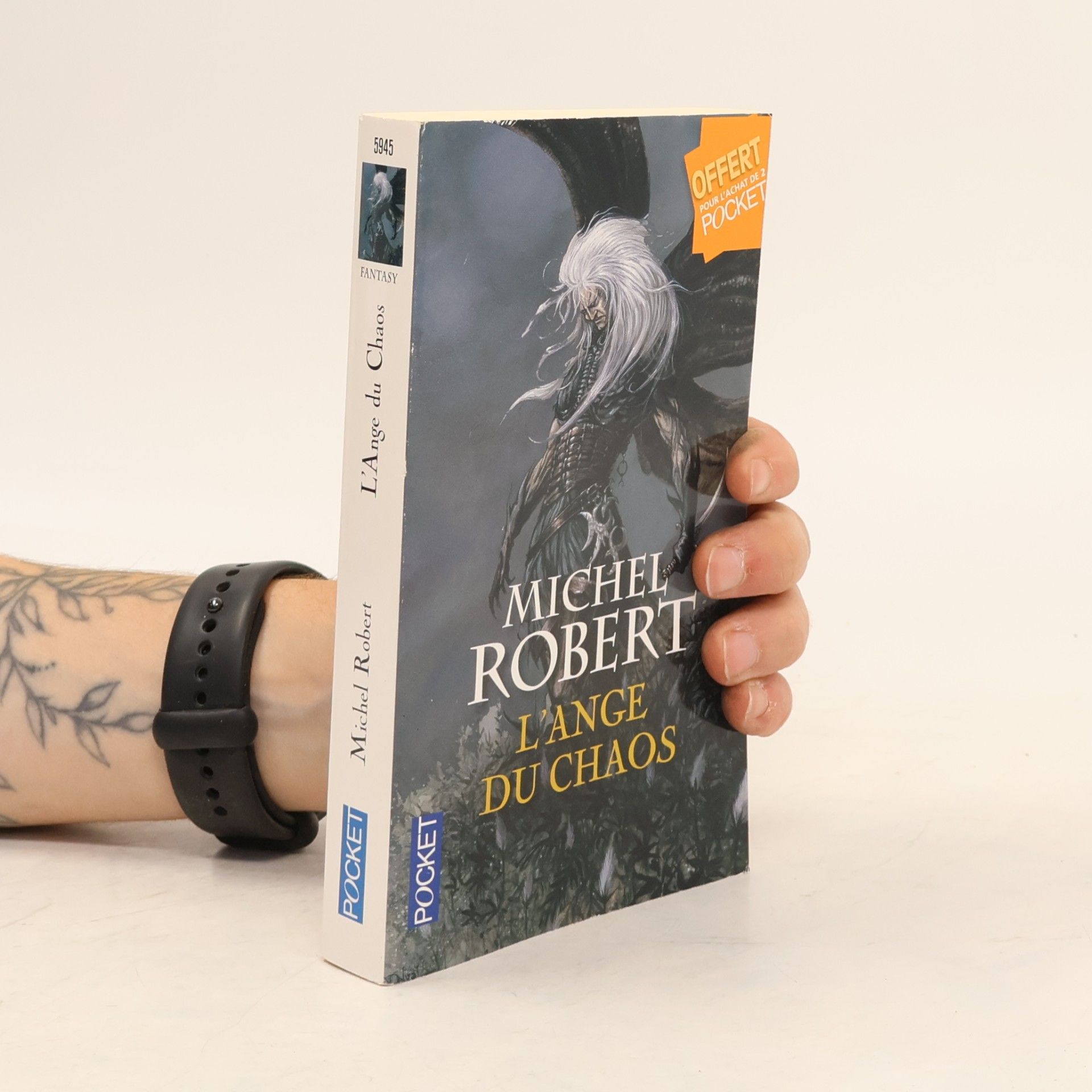 Michel Robert L'ange du chaos