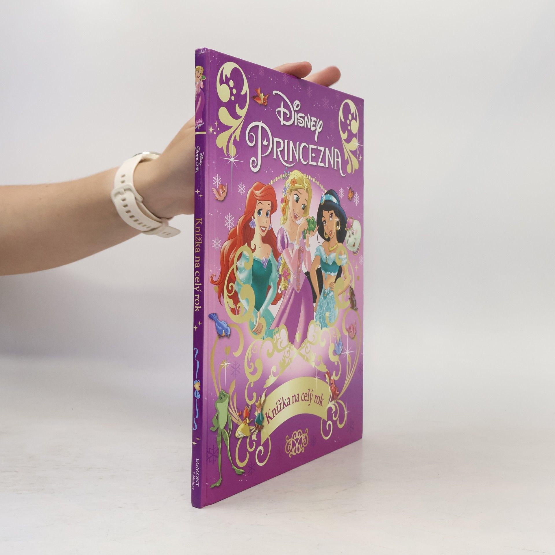 Walt Disney Princezna - Knížka na celý rok