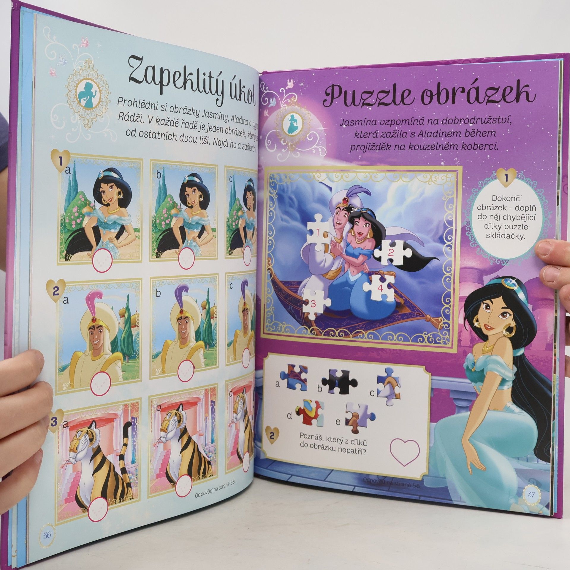 Walt Disney Princezna - Knížka na celý rok