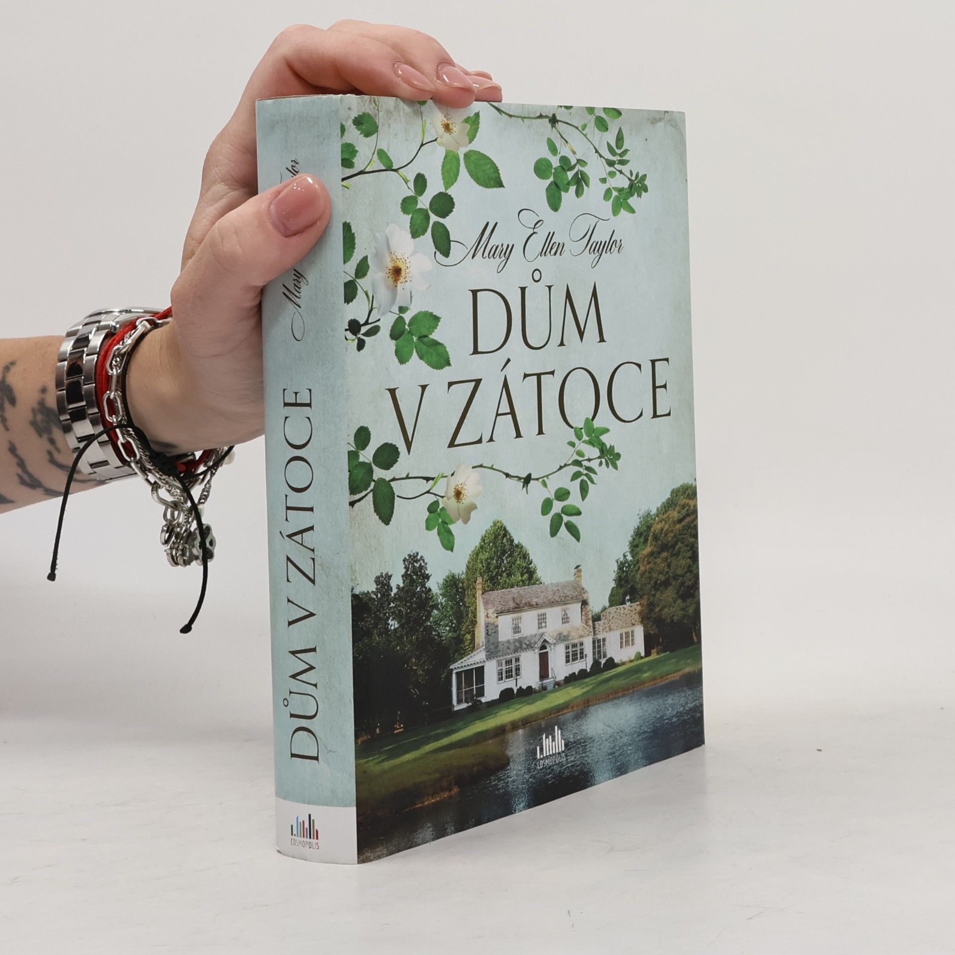 Mary Ellen Taylor Dům v zátoce