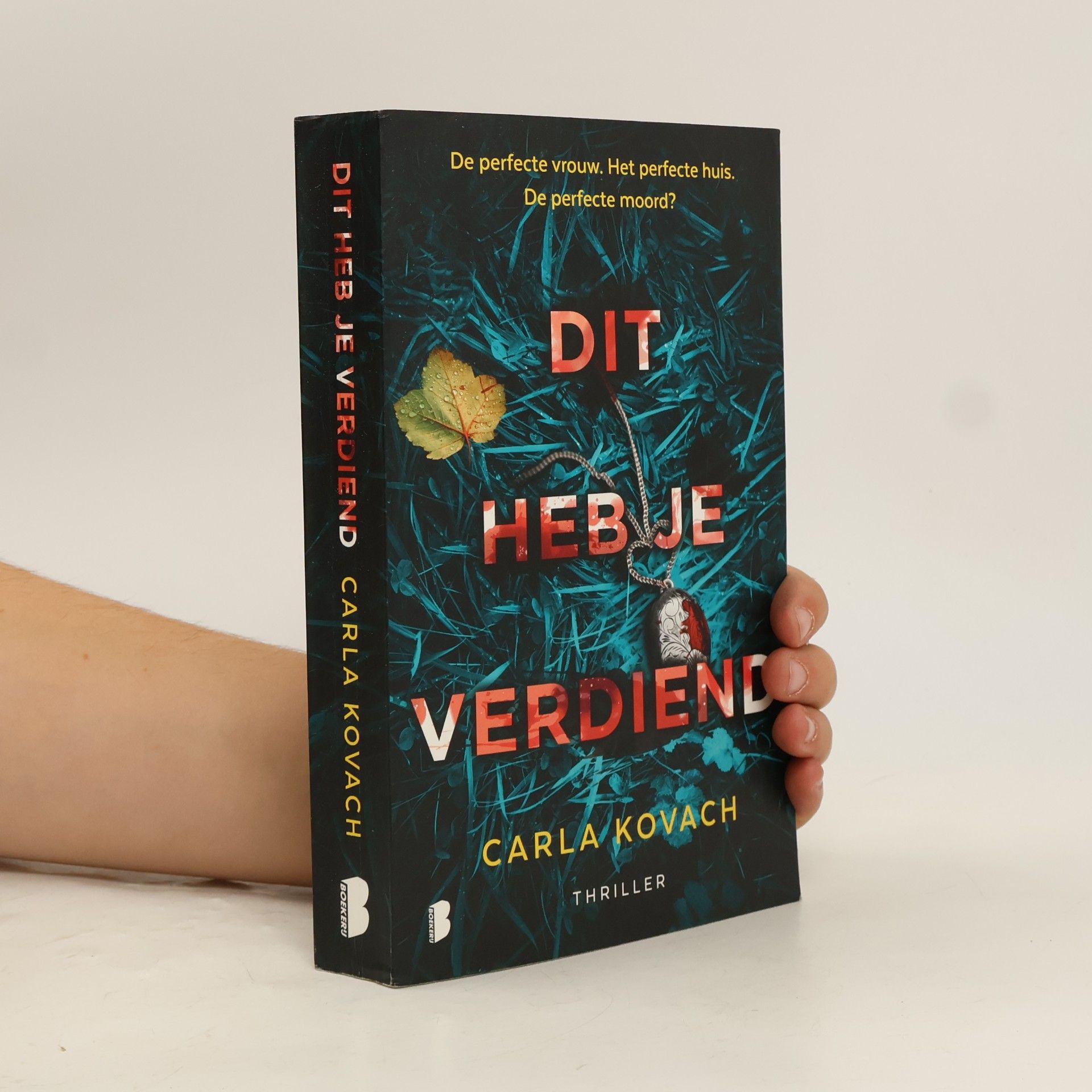 Barbara Lampe Gina Harte - 2: Dit heb je verdiend