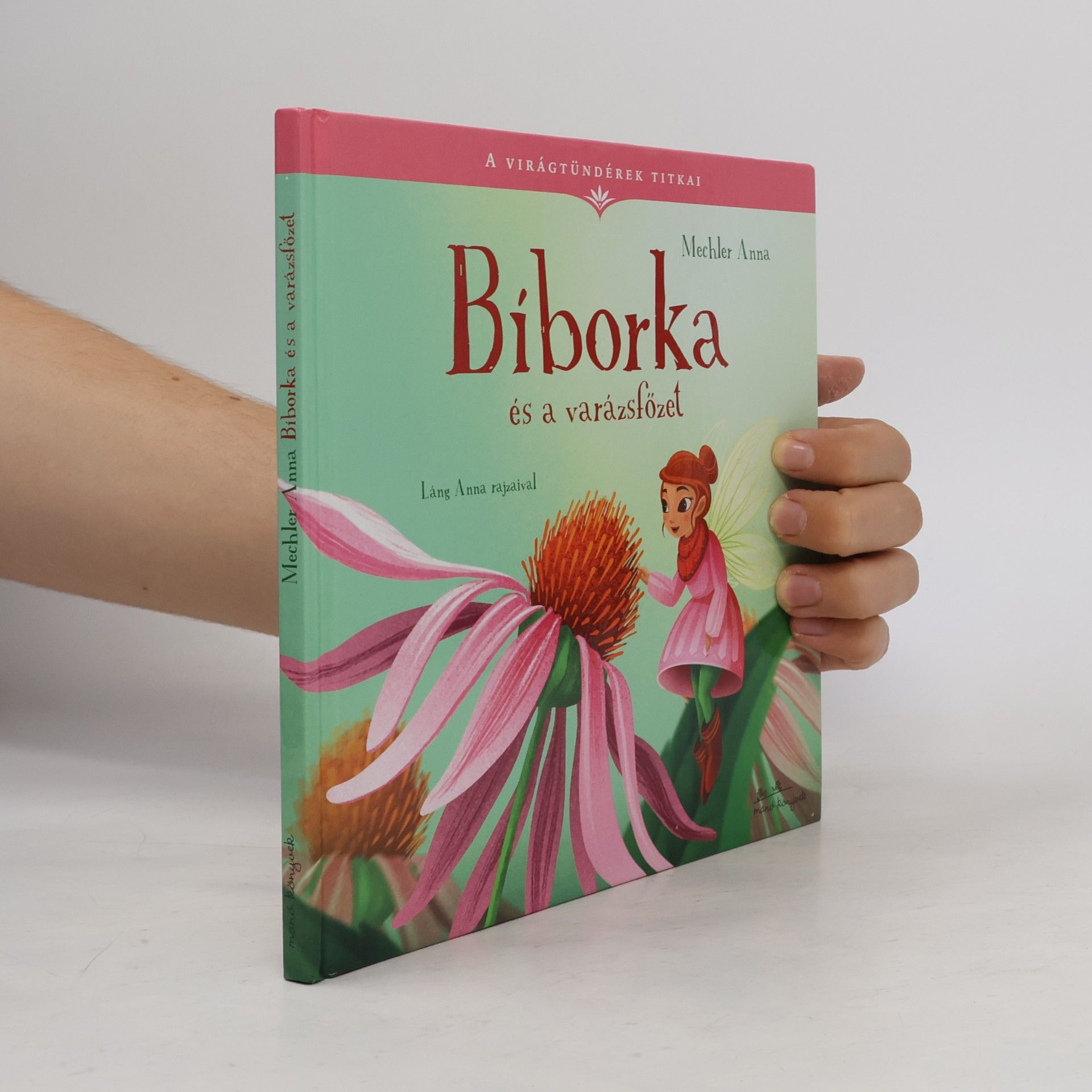 Láng Anna Biborka és a varázsfőzet