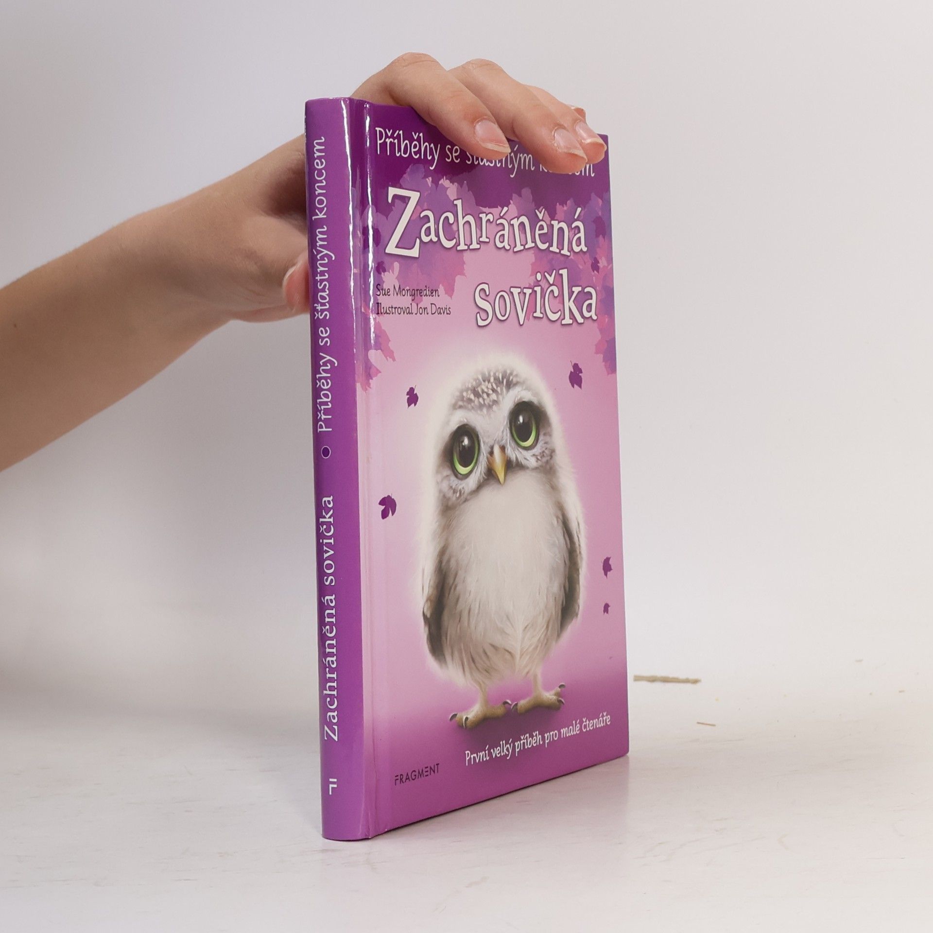 Lucy Diamond Zachráněná sovička
