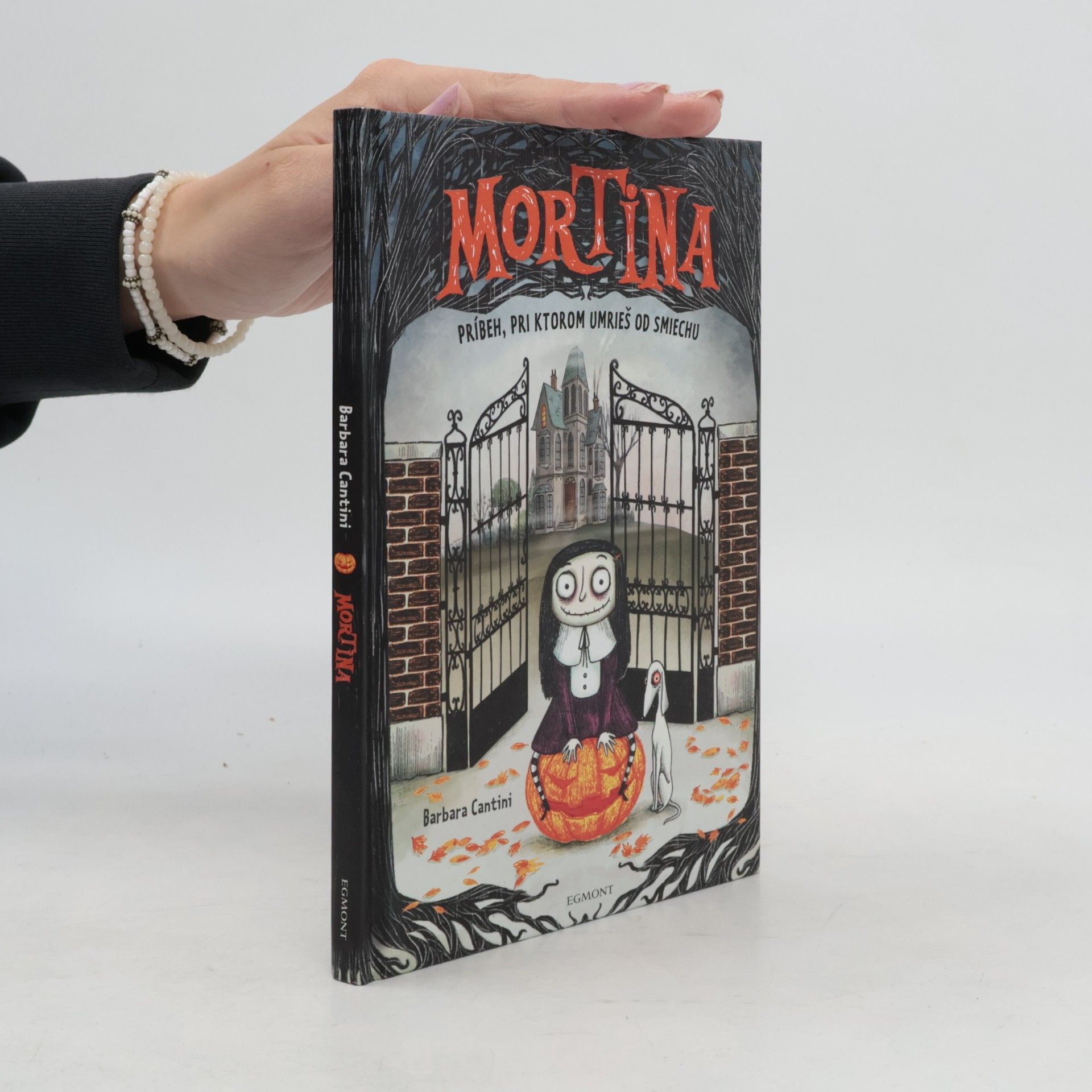 Barbara Cantini Mortina