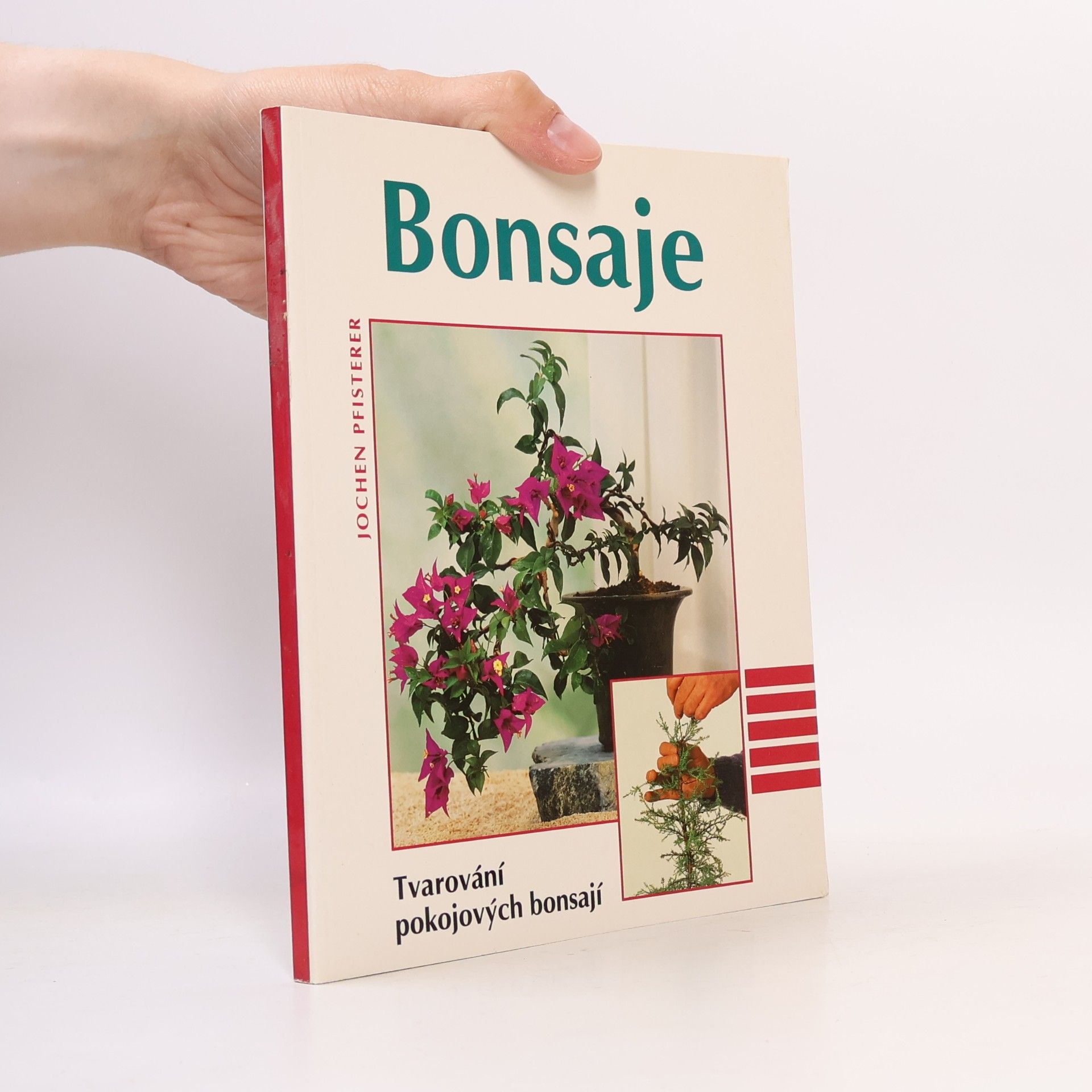 Bonsaje. Tvarování pokojových bonsají