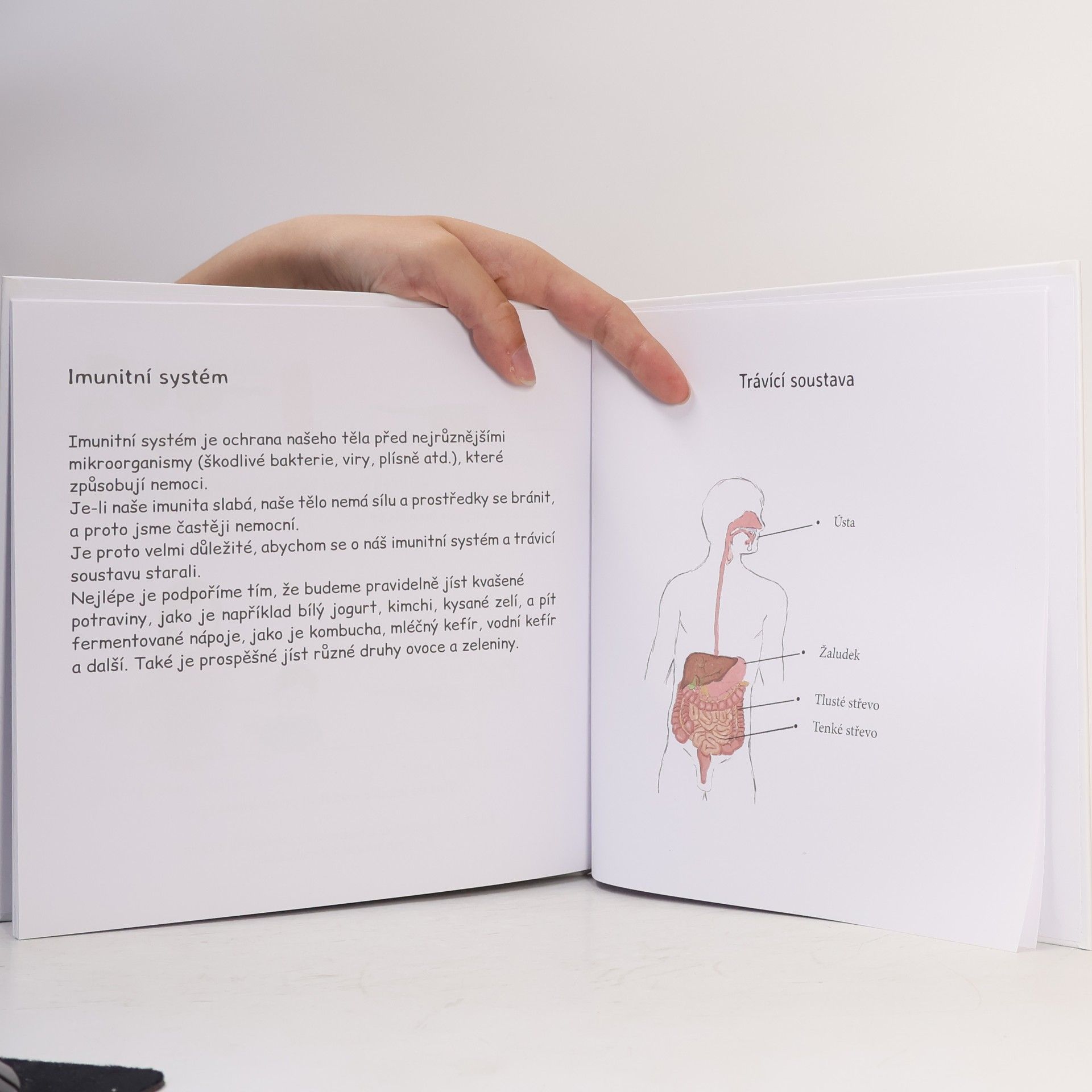 Amcones publishing Jde to i bez cukru! - Co se stane, když budeme jíst moc sladkého?