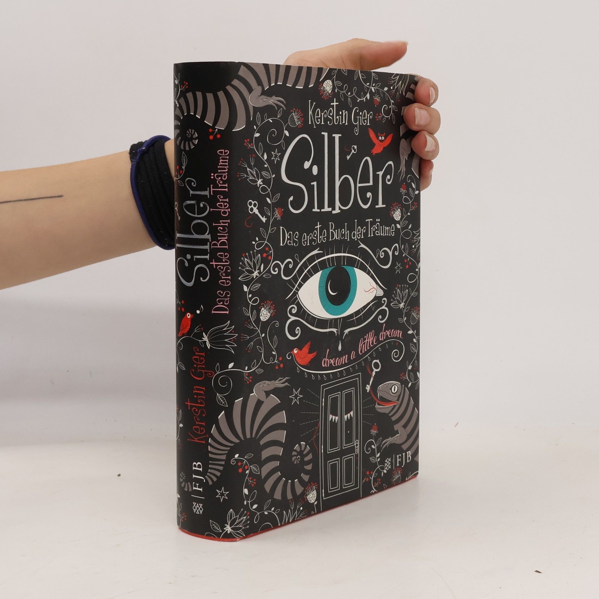 Kerstin Gier Silber. Das erste Buch der Träume