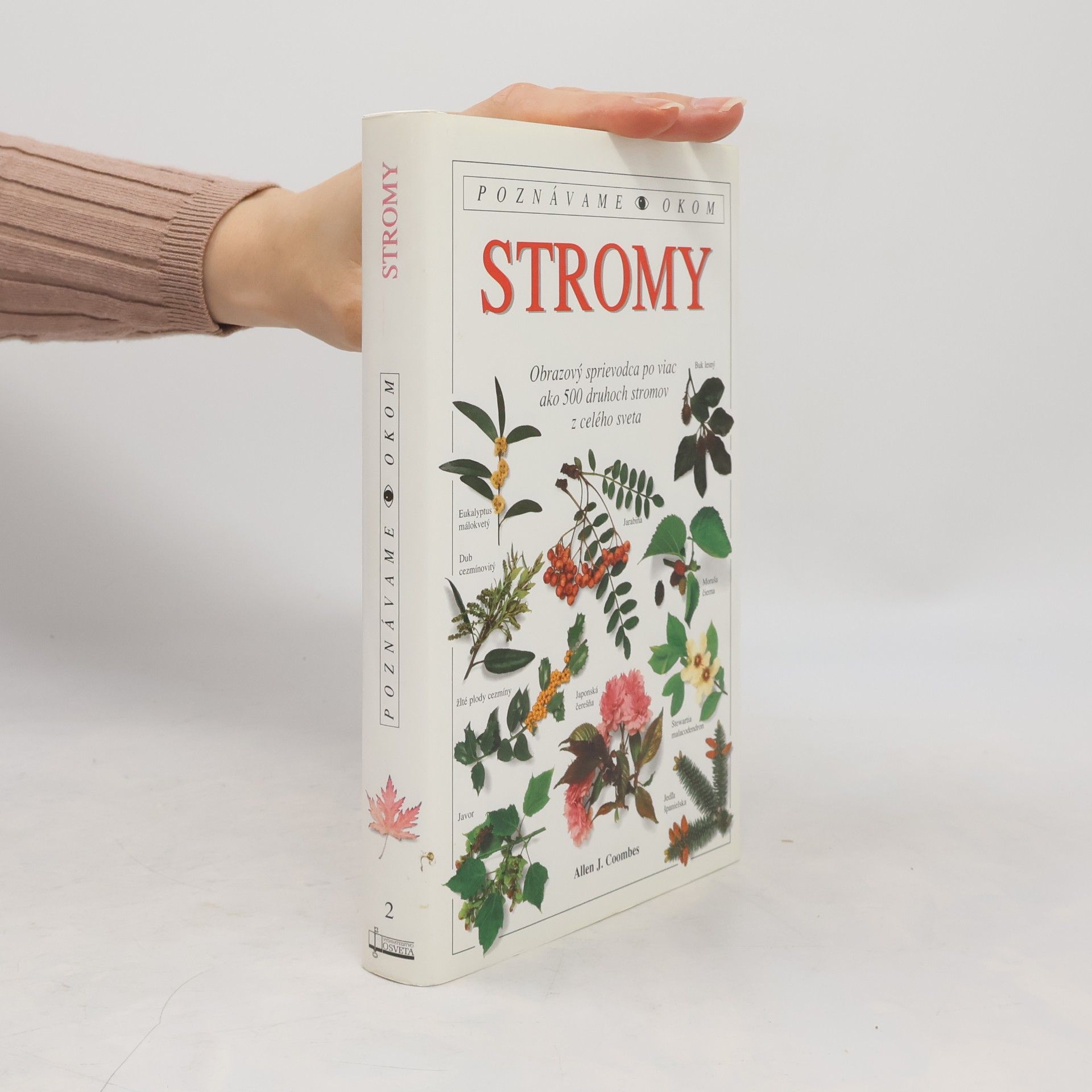 Stromy