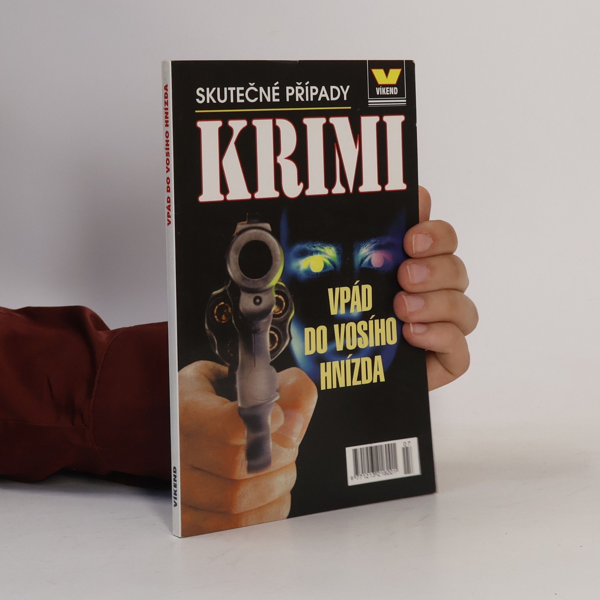 Jiří Bílek Vpád do vosího hnízda