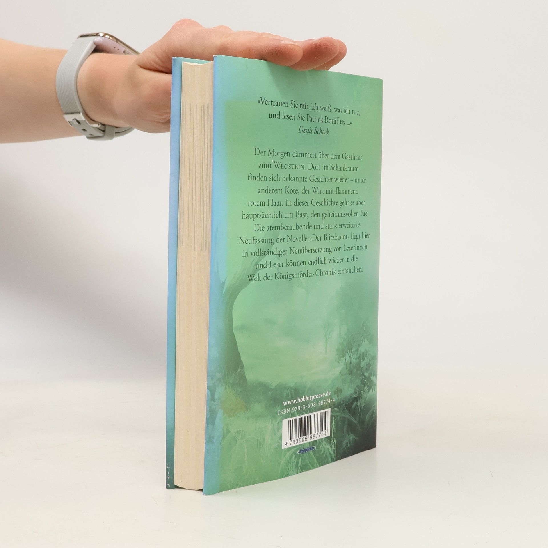 Patrick Rothfuss Der Weg der Wünsche