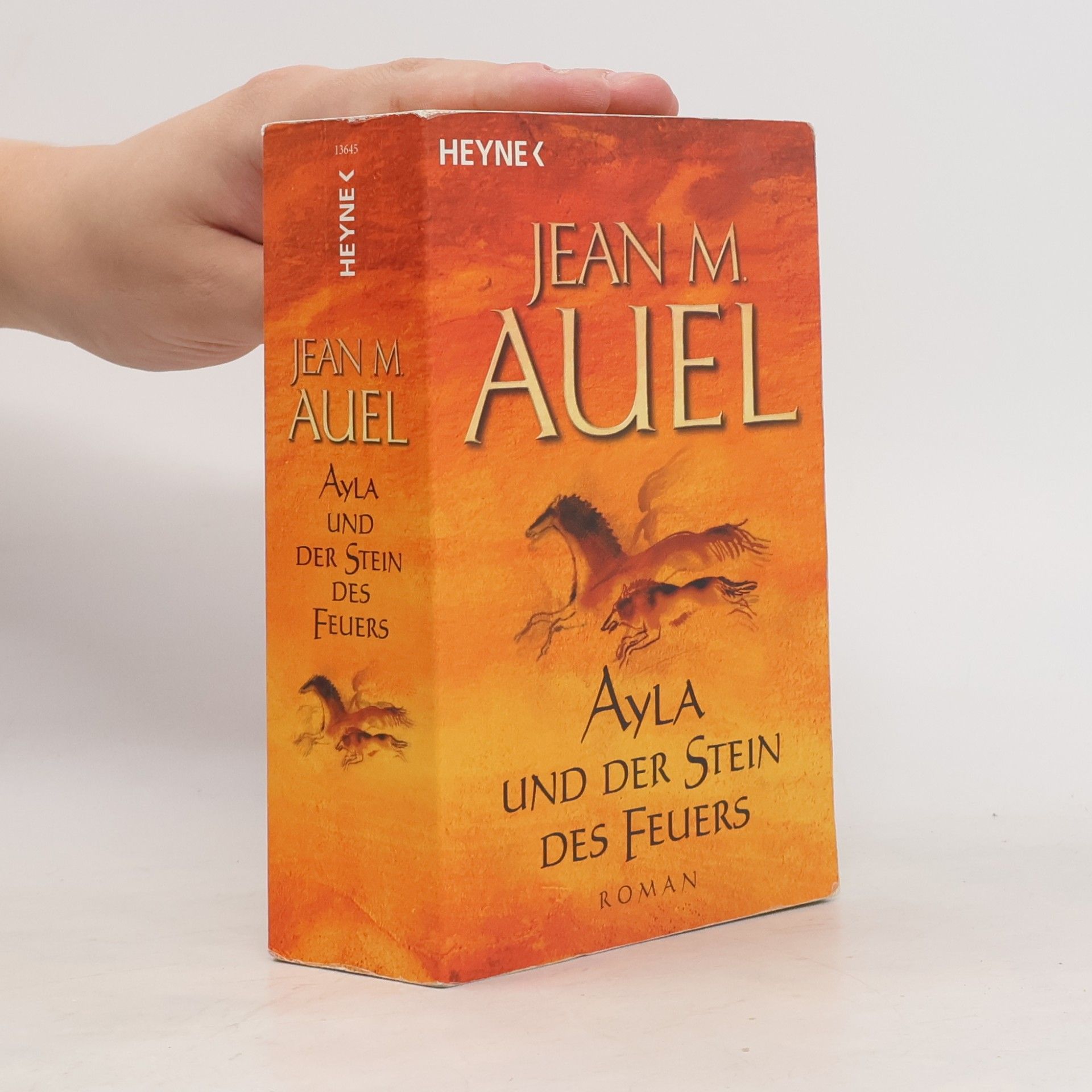 Jean M. Auelová Ayla und der Stein des Feuers