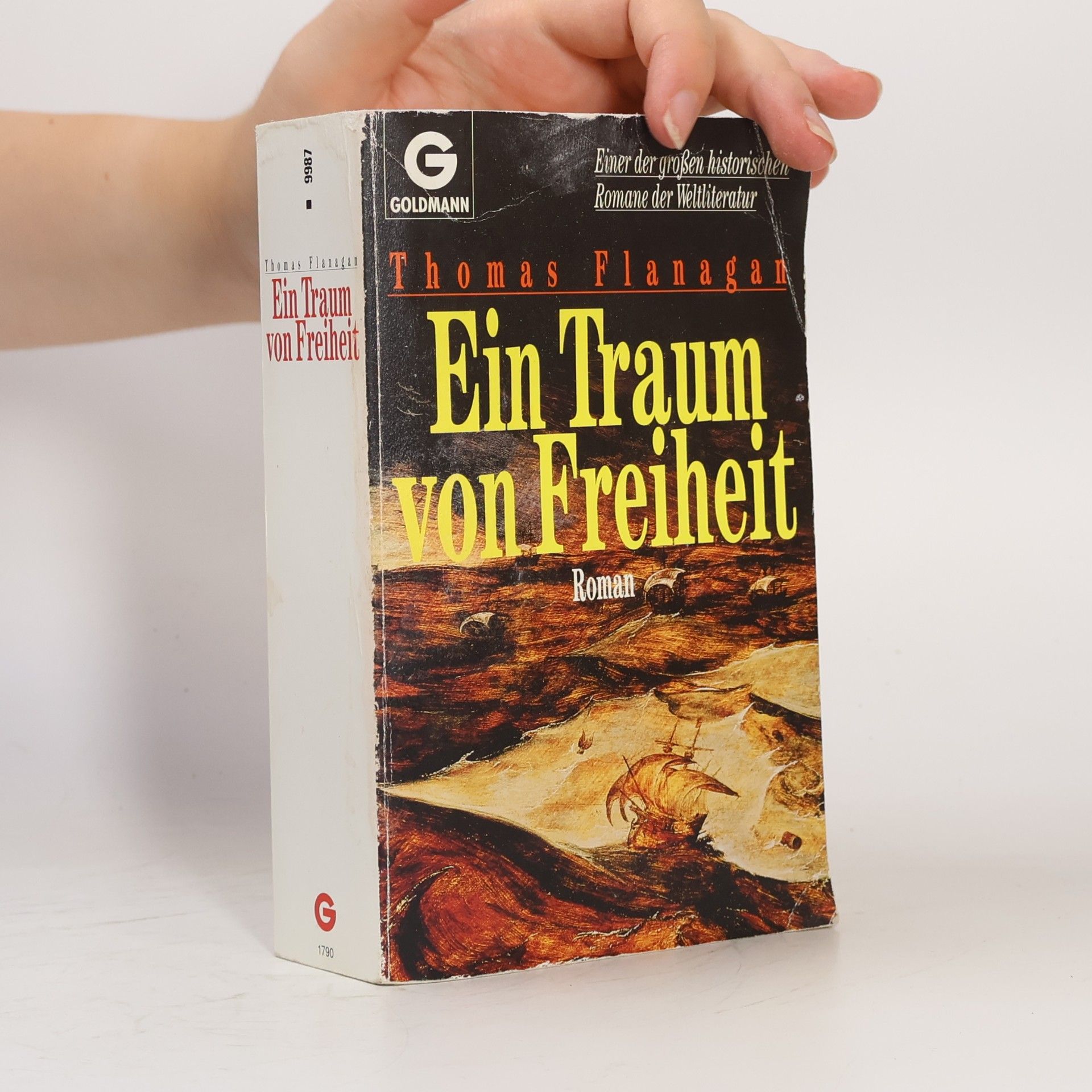 Thomas Flanagan Ein Traum von Freiheit