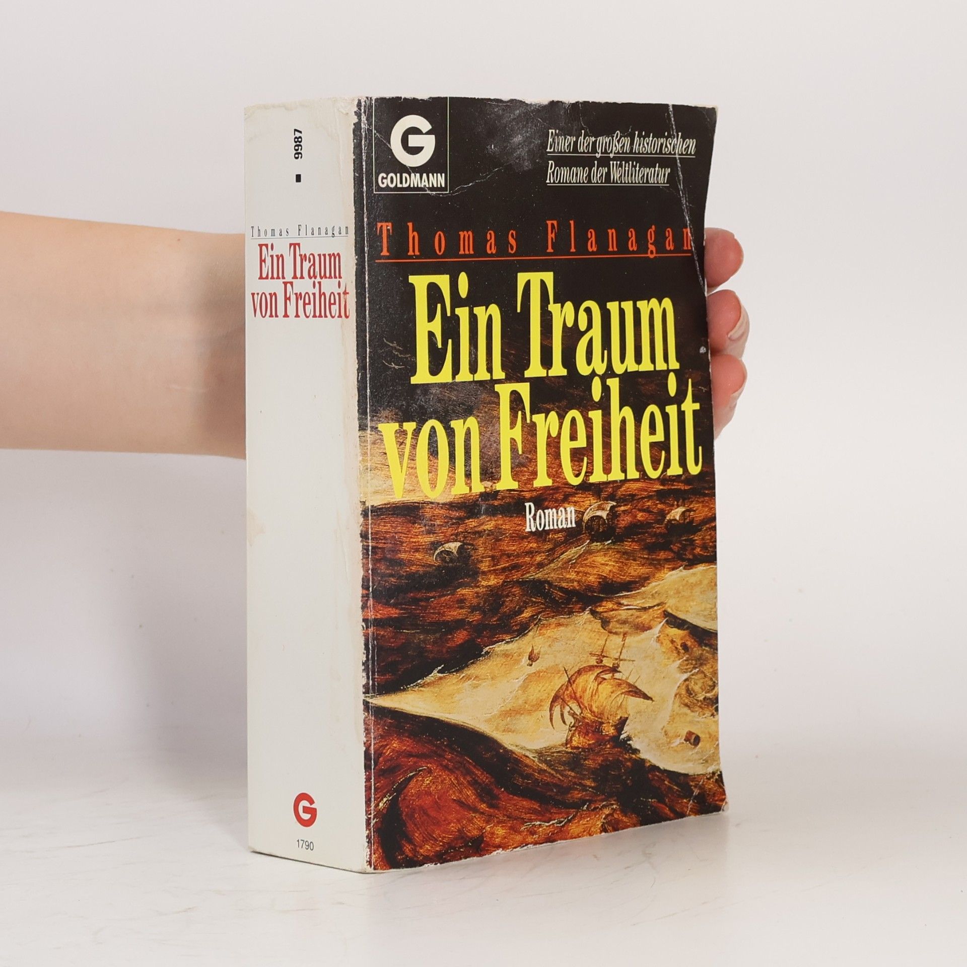 Thomas Flanagan Ein Traum von Freiheit