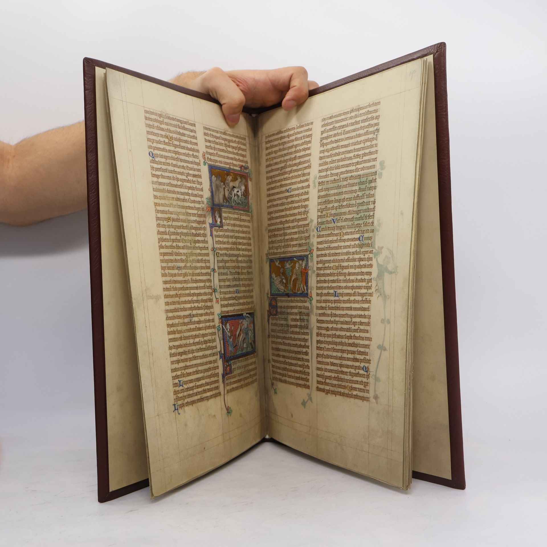 Autorenkollektiv Wundervolle Erde. Das Bestiarium aus Peterborough