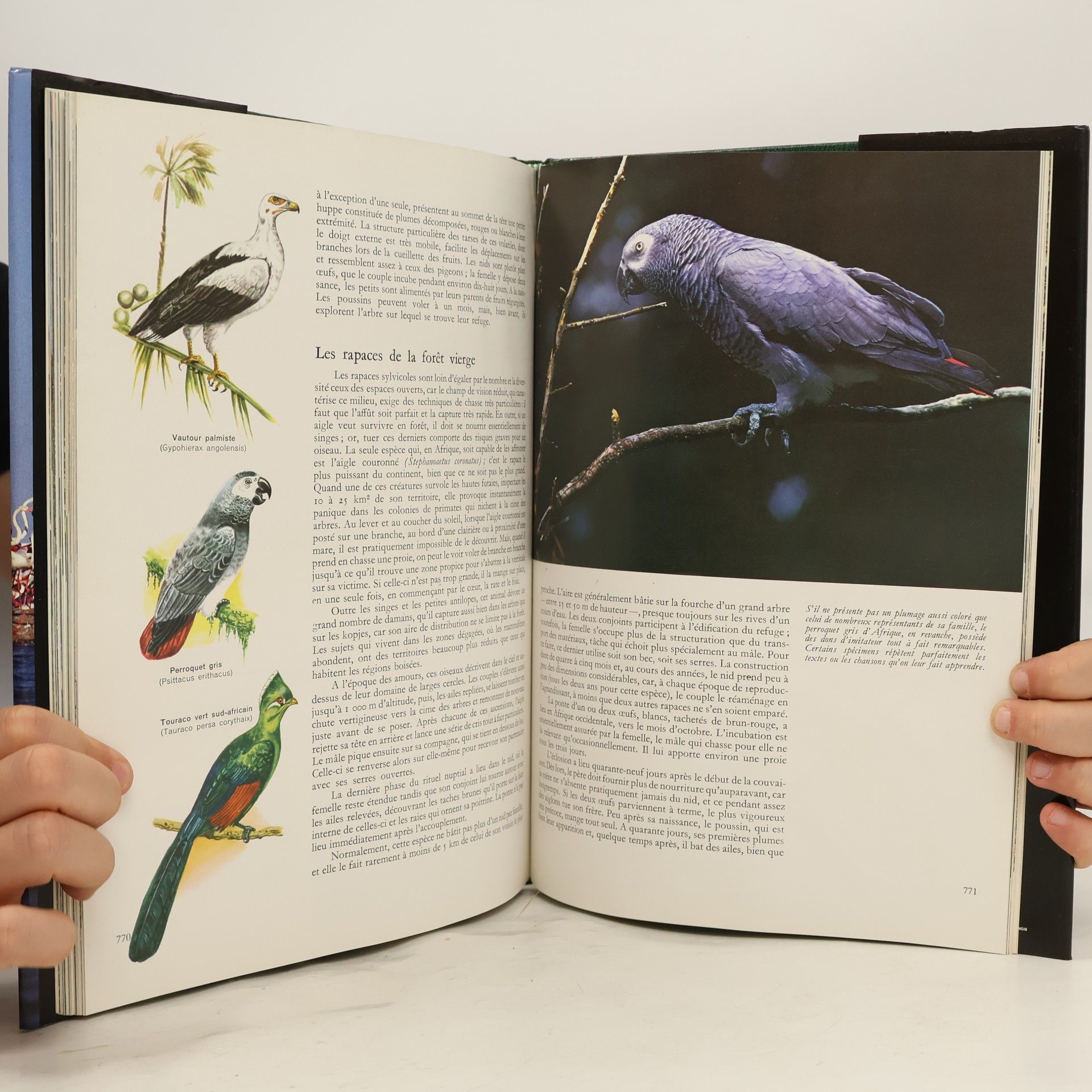 Autores varios Vie et Moeurs des Animaux Sauvages