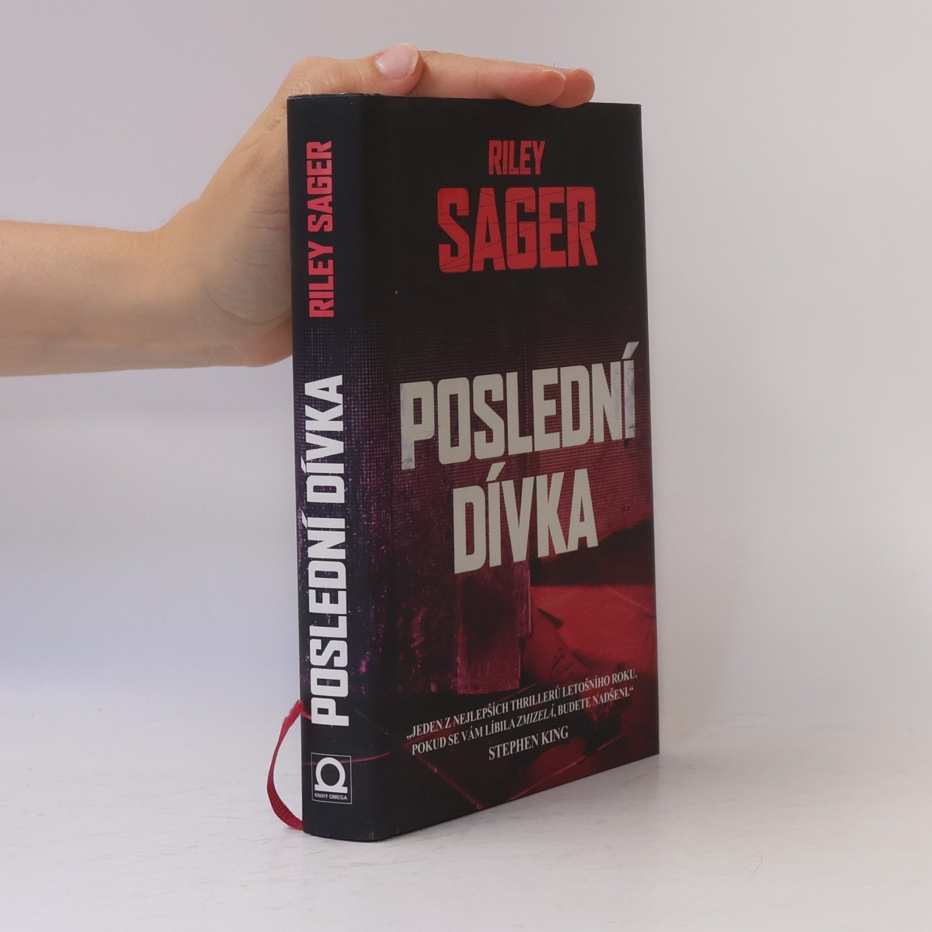 Todd Ritter Poslední dívka