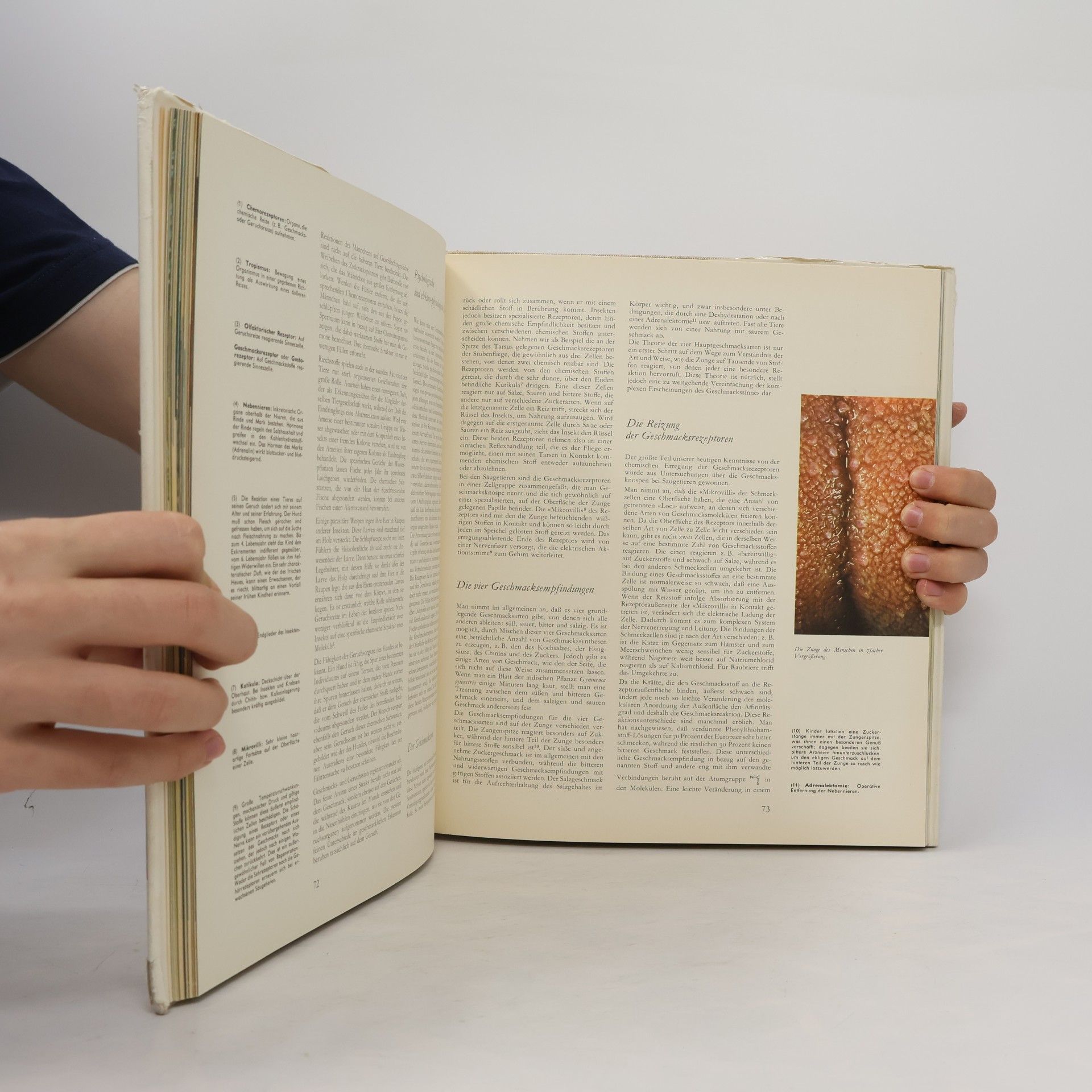 Autorenkollektiv Das Reich der Tiere 4