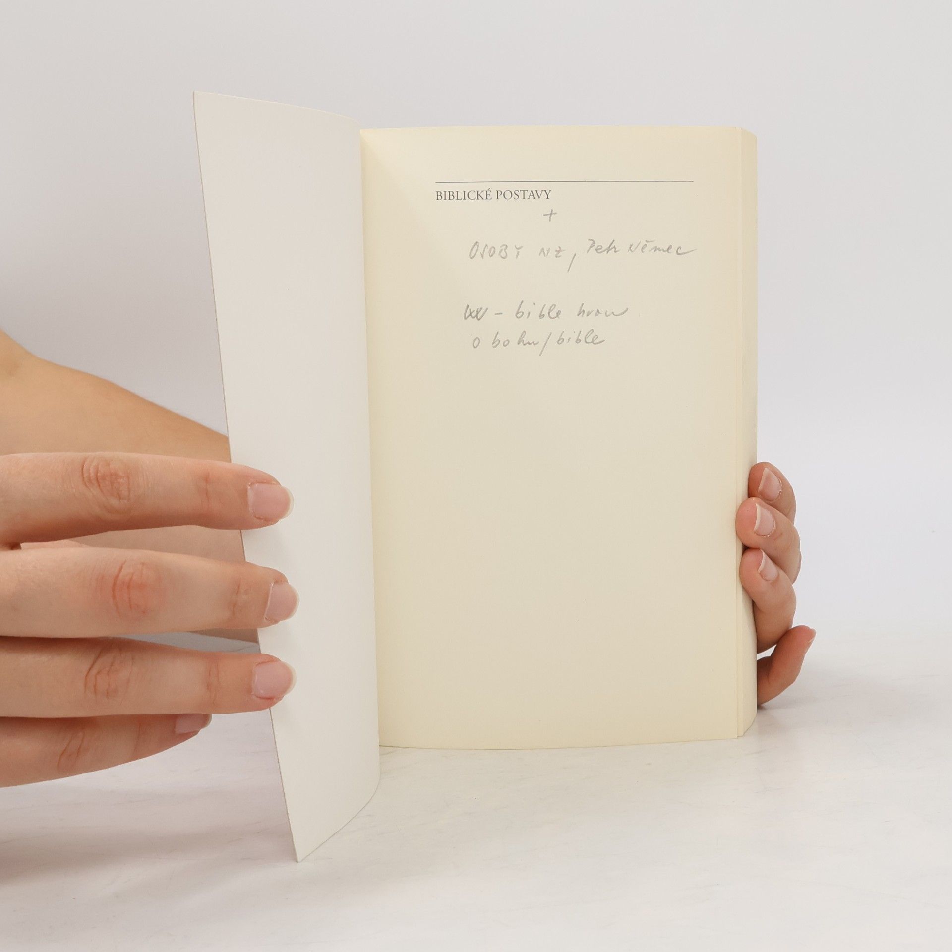 Gianfranco Ravasi Biblické postavy - Liturgický rok s osobnostmi Bible