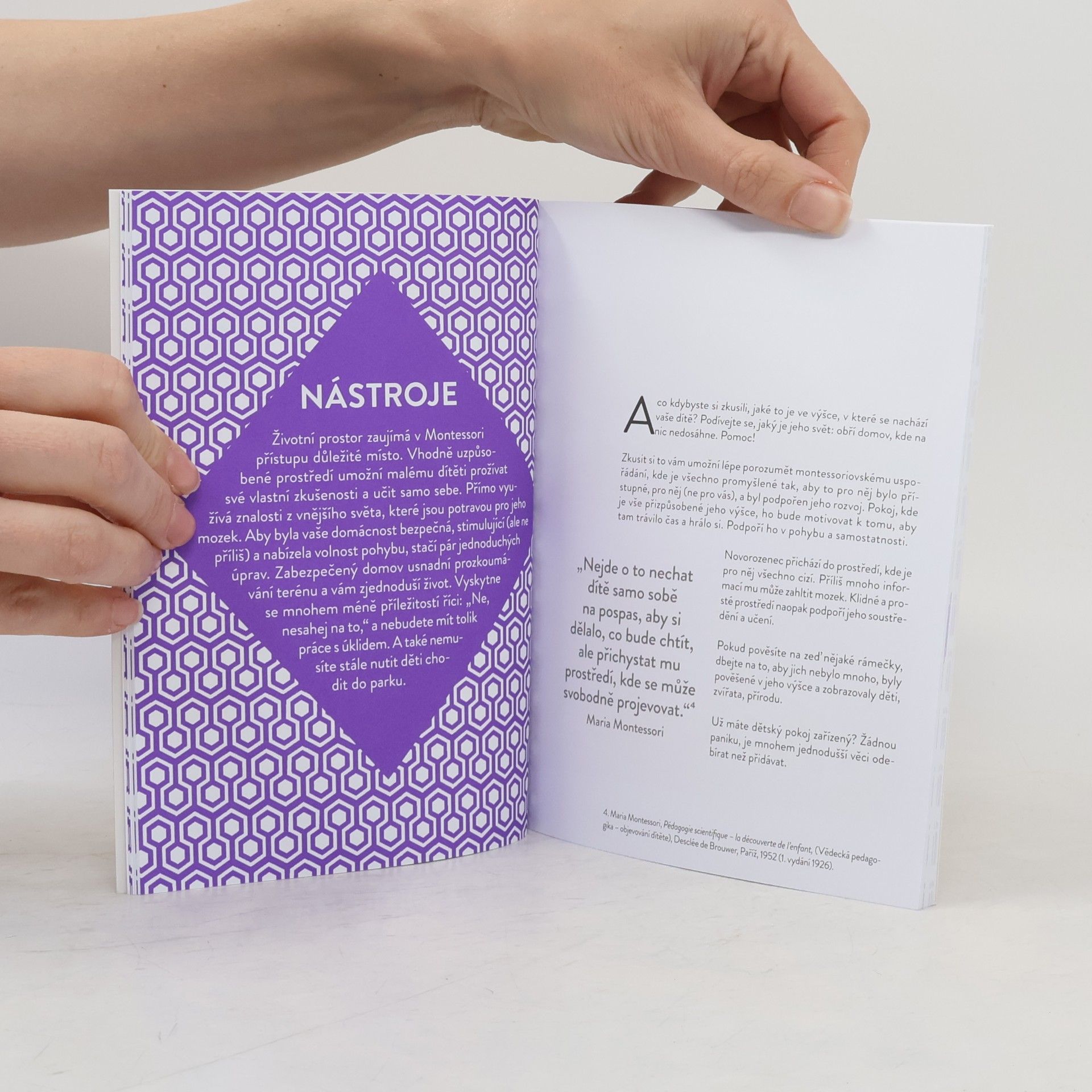 Nathalie Petit Montessori doma. Od myšlenek k činům. 0-3 roky