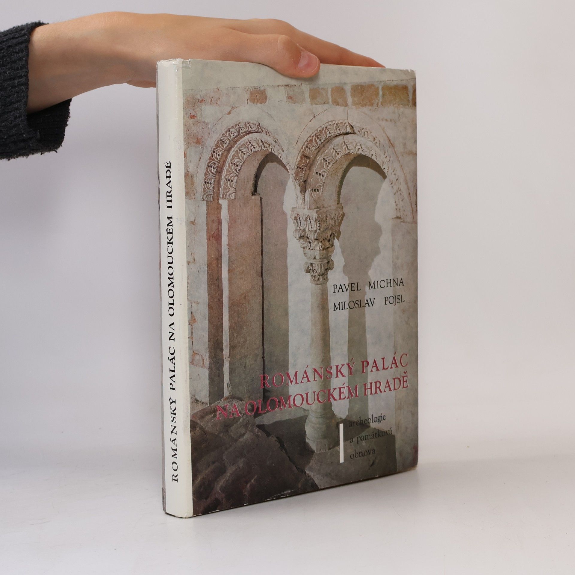 Pavel Michna Románský palác na Olomouckém hradě : archeologie a památková obnova