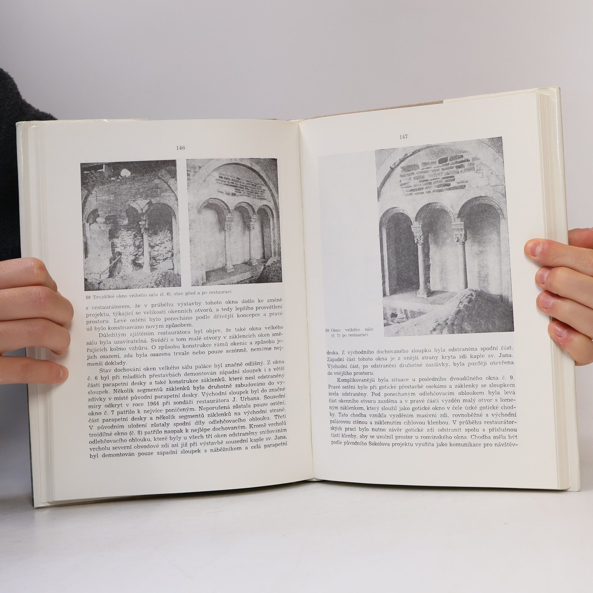 Pavel Michna Románský palác na Olomouckém hradě : archeologie a památková obnova