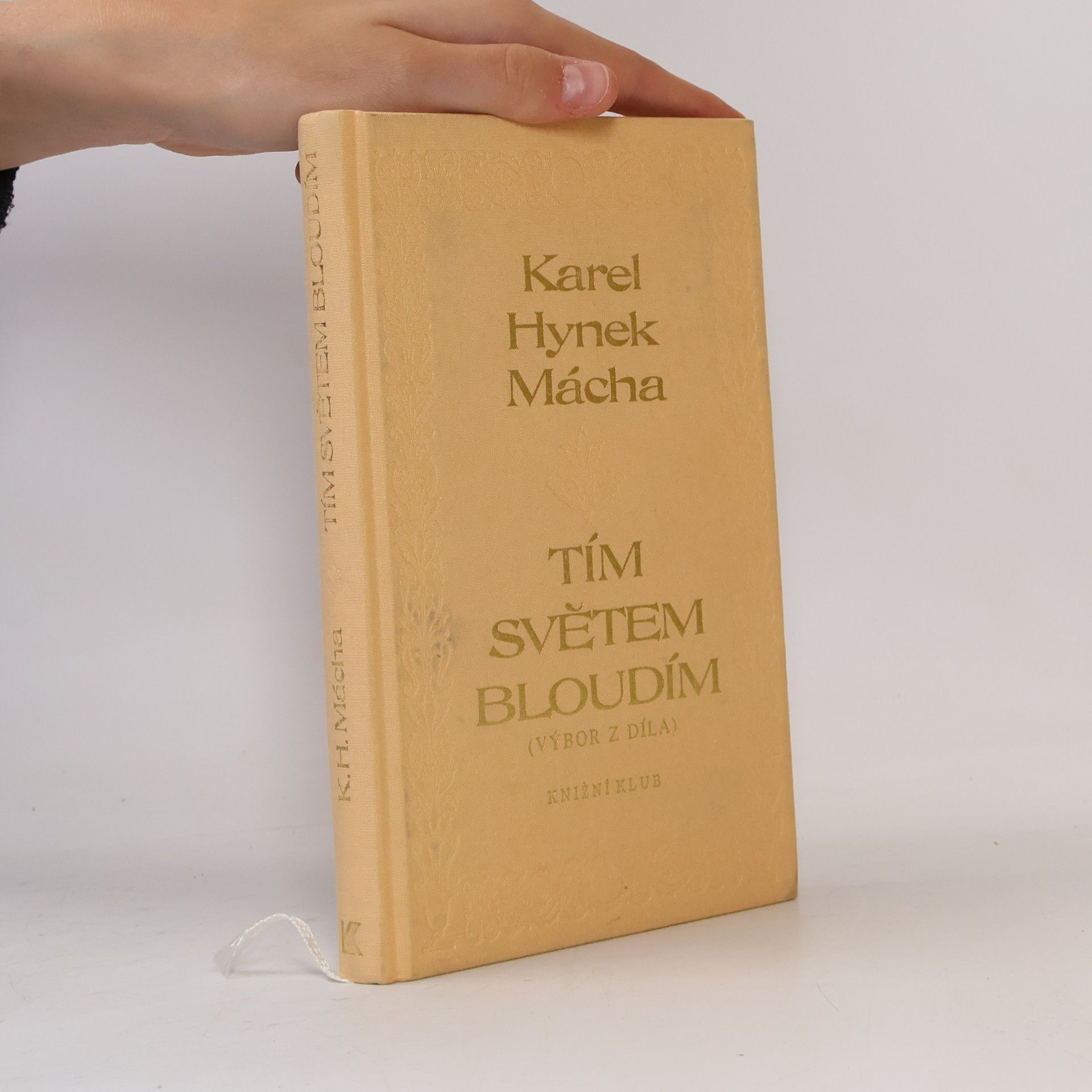Karel Hynek Mácha Tím světem bloudím